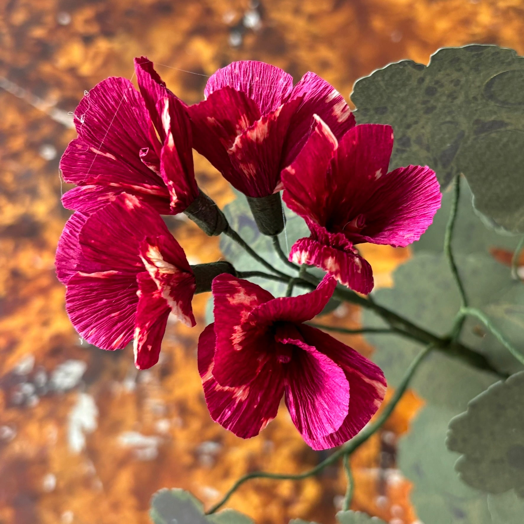 Paper Geranium