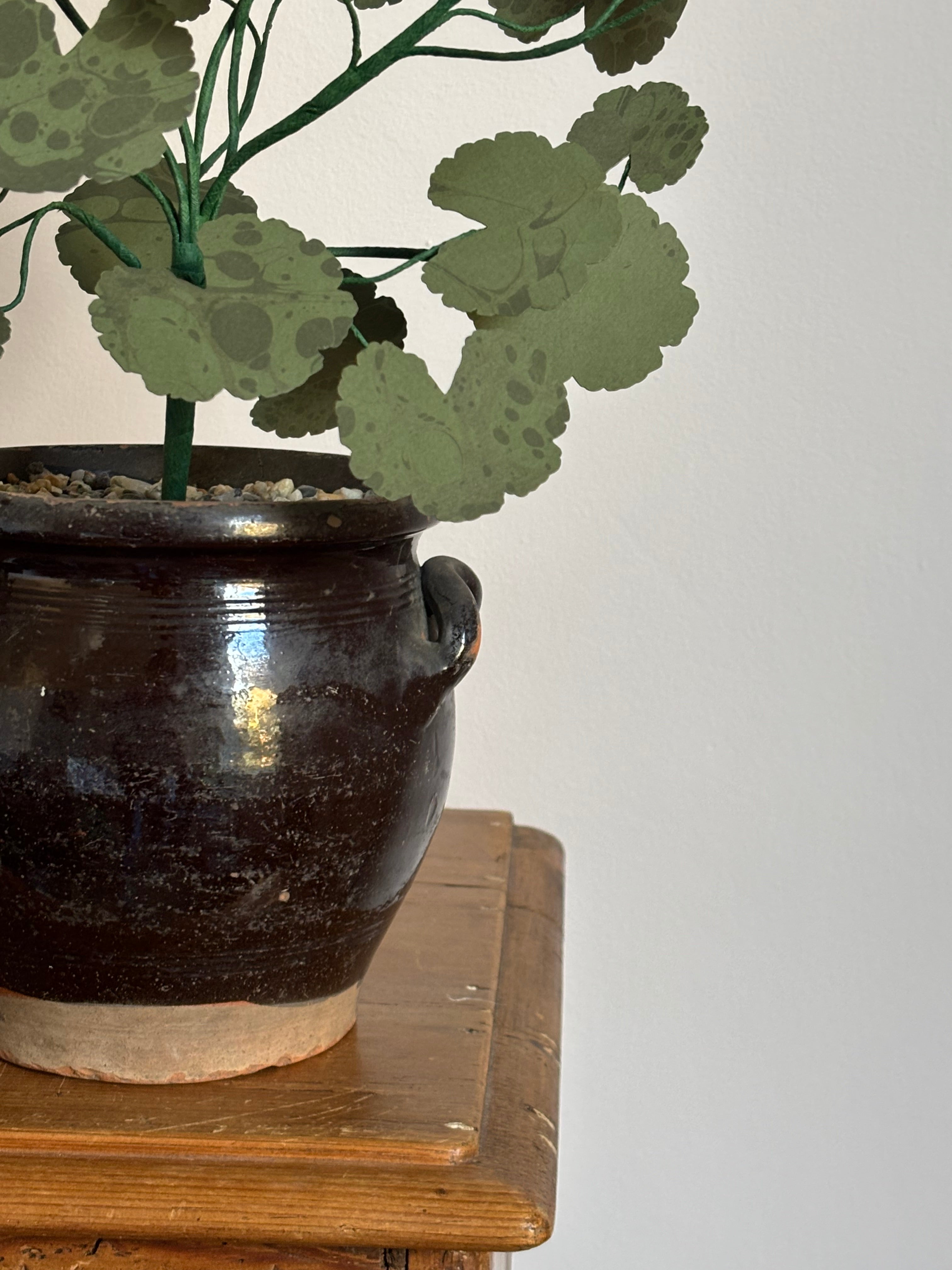 Paper Geranium * no international shipping*