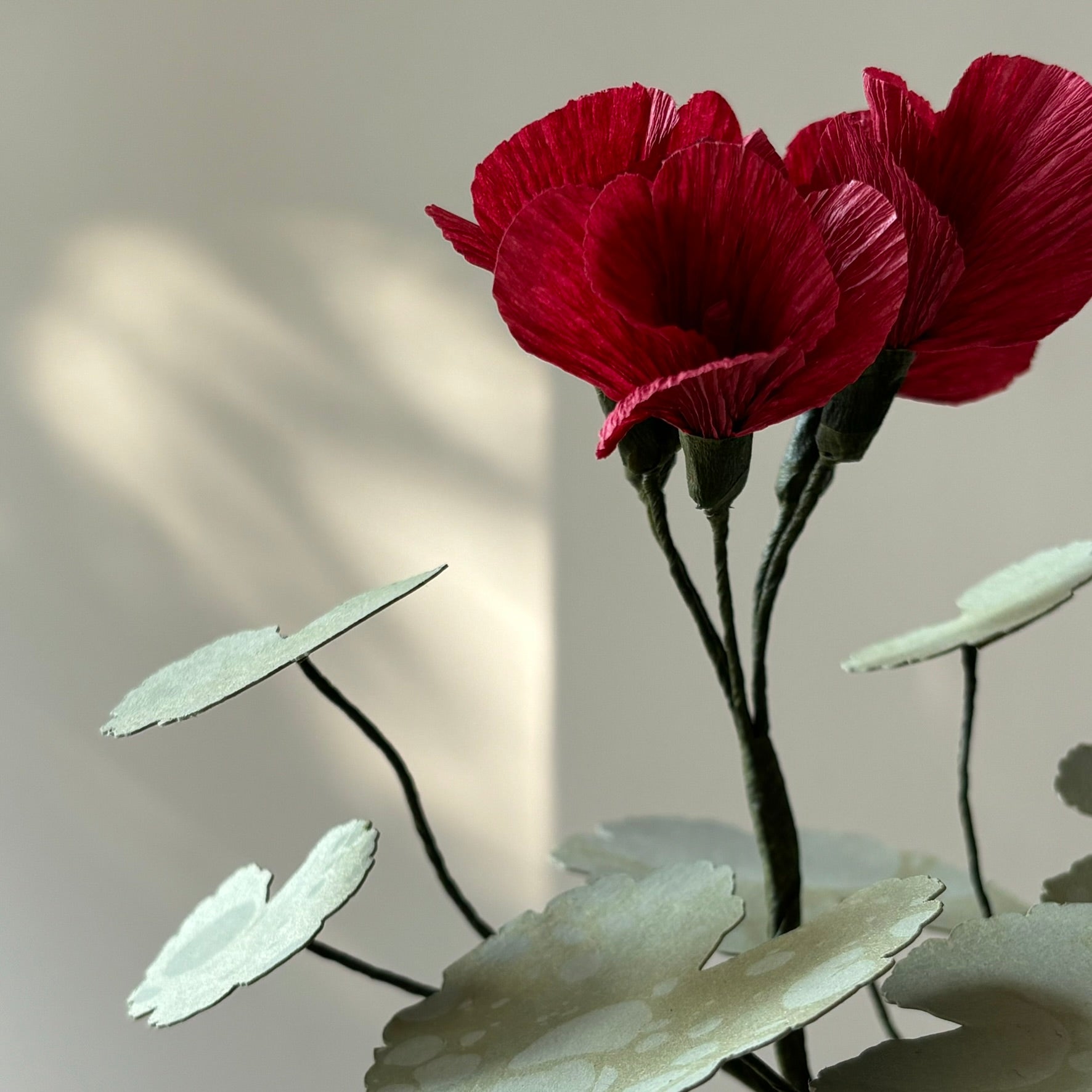 Paper Geranium