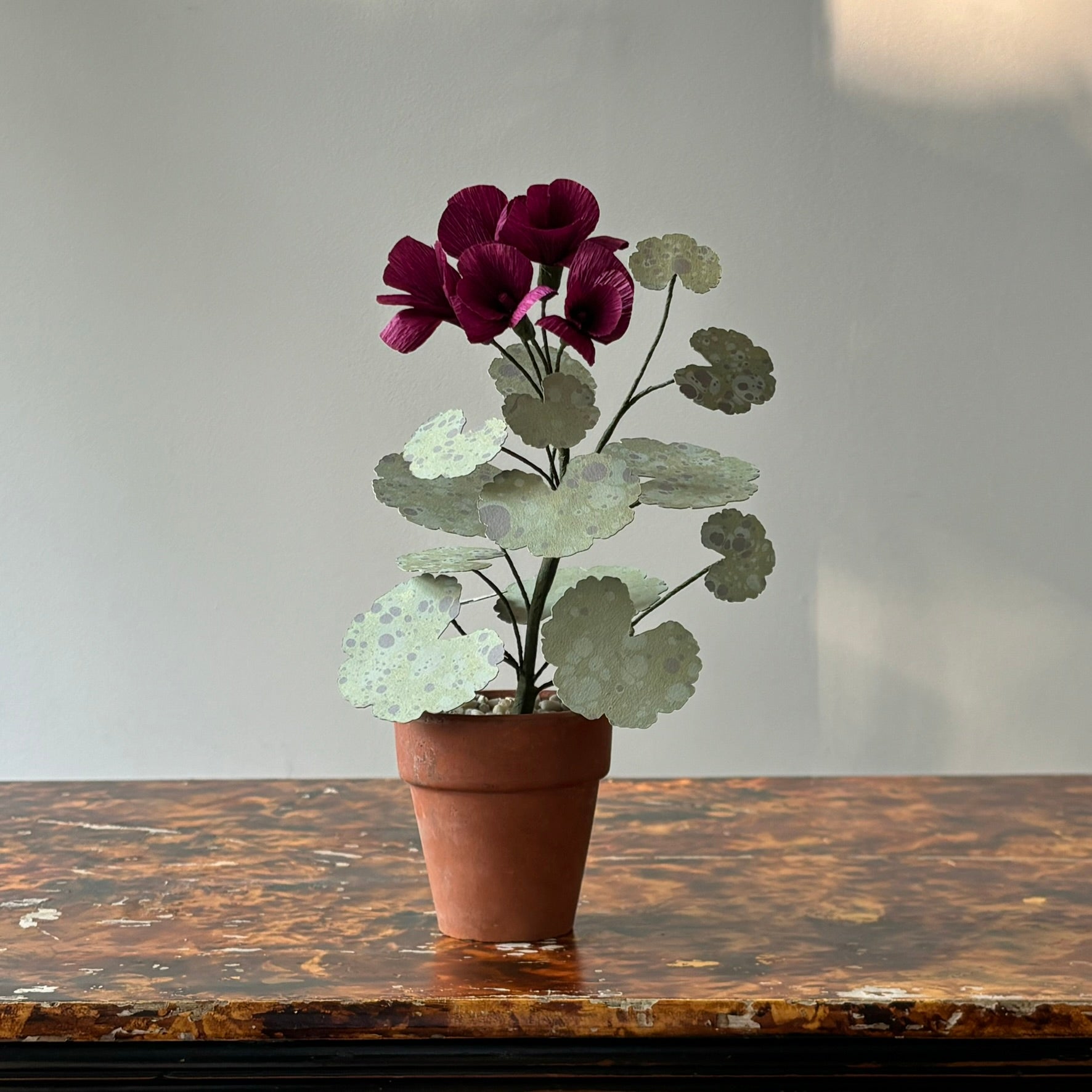 Paper Geranium