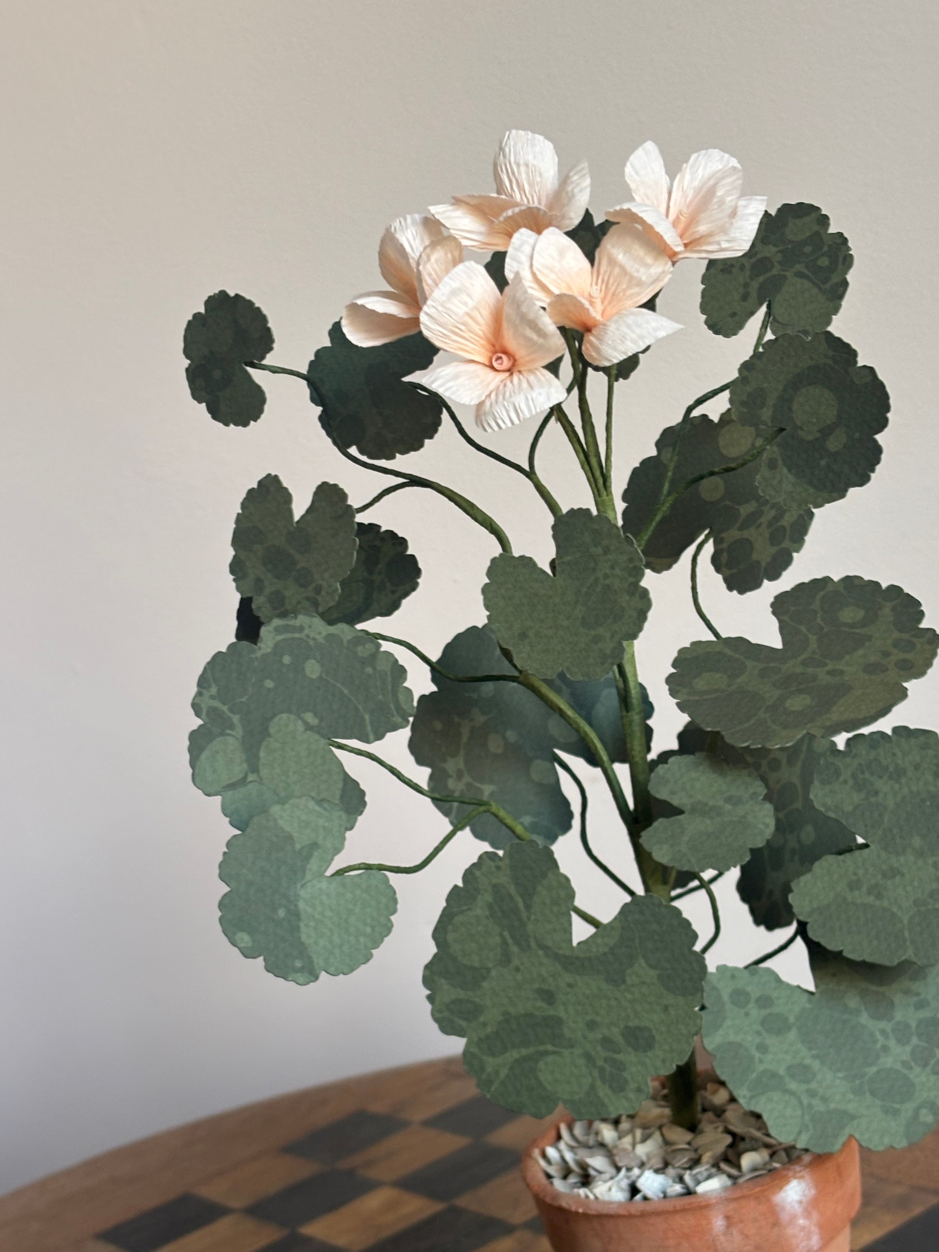 Paper Geranium