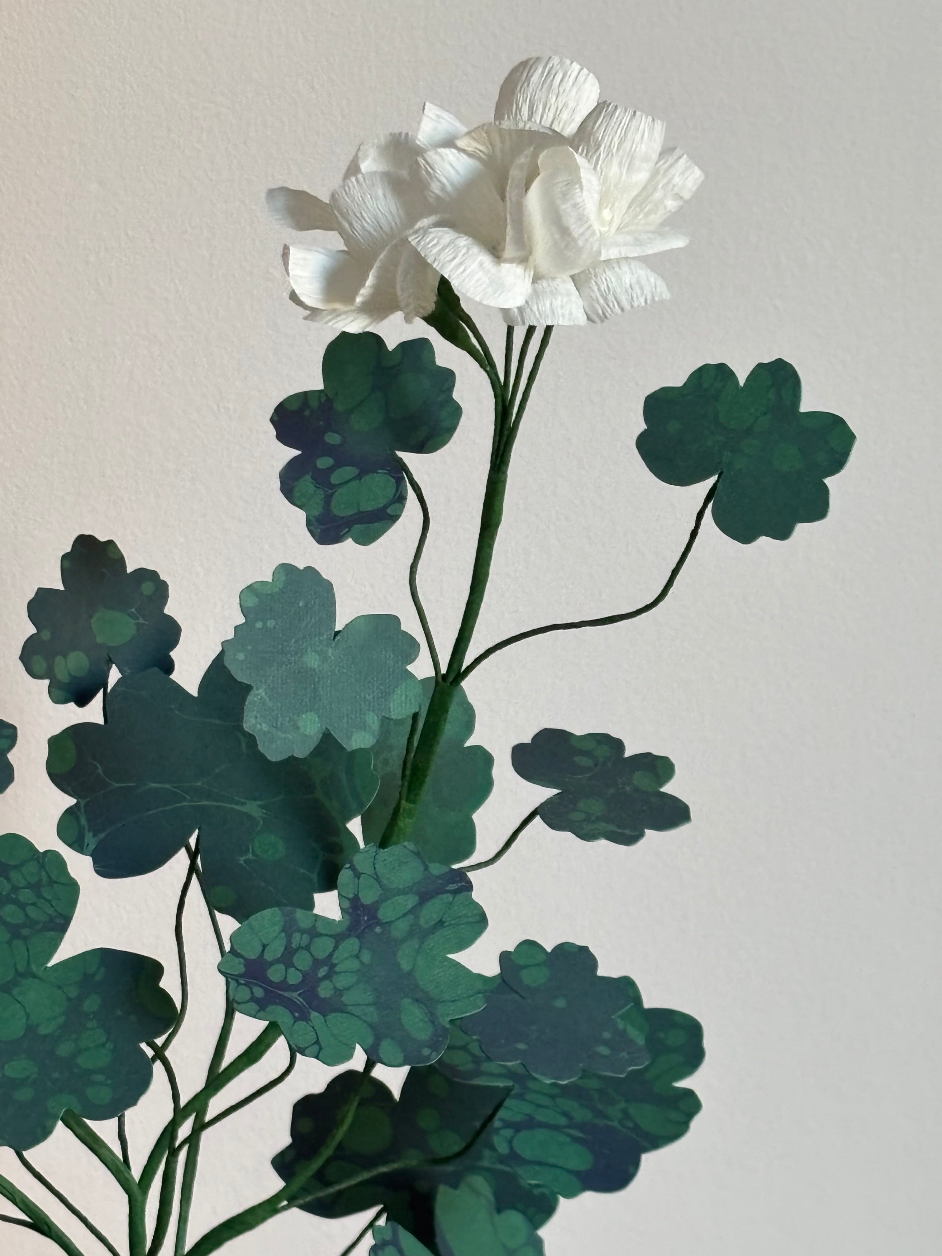 Paper Geranium