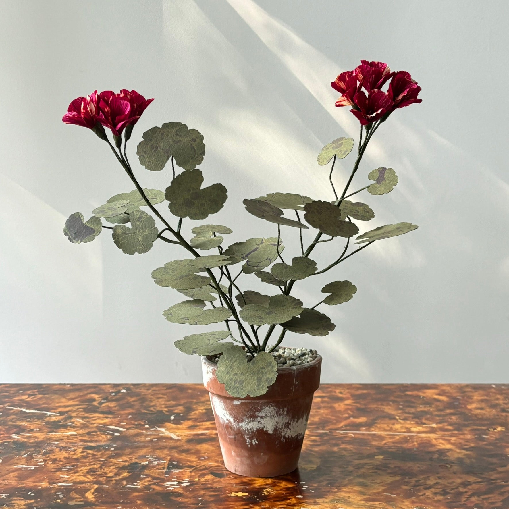 Paper Geranium