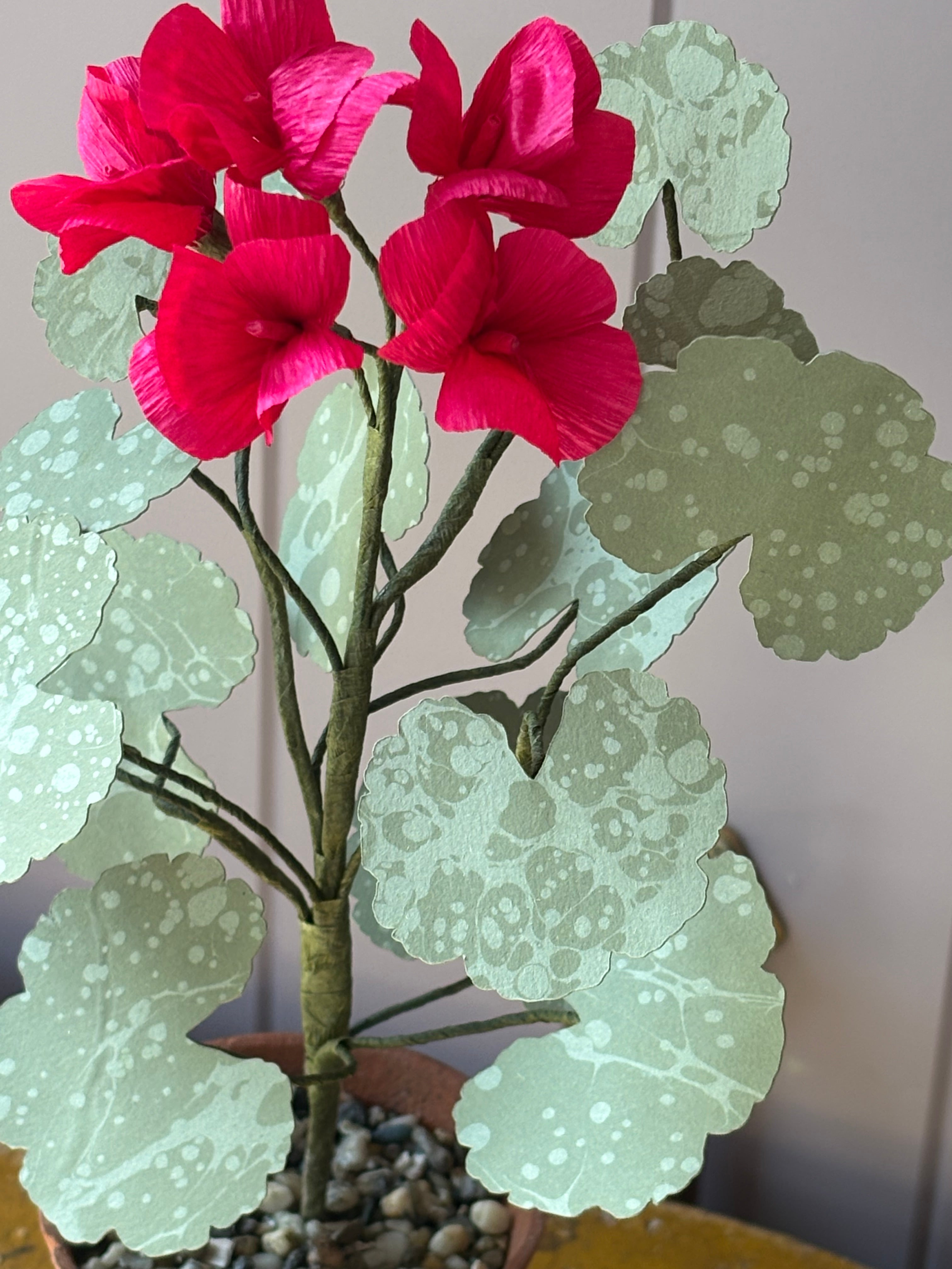 Paper Geranium
