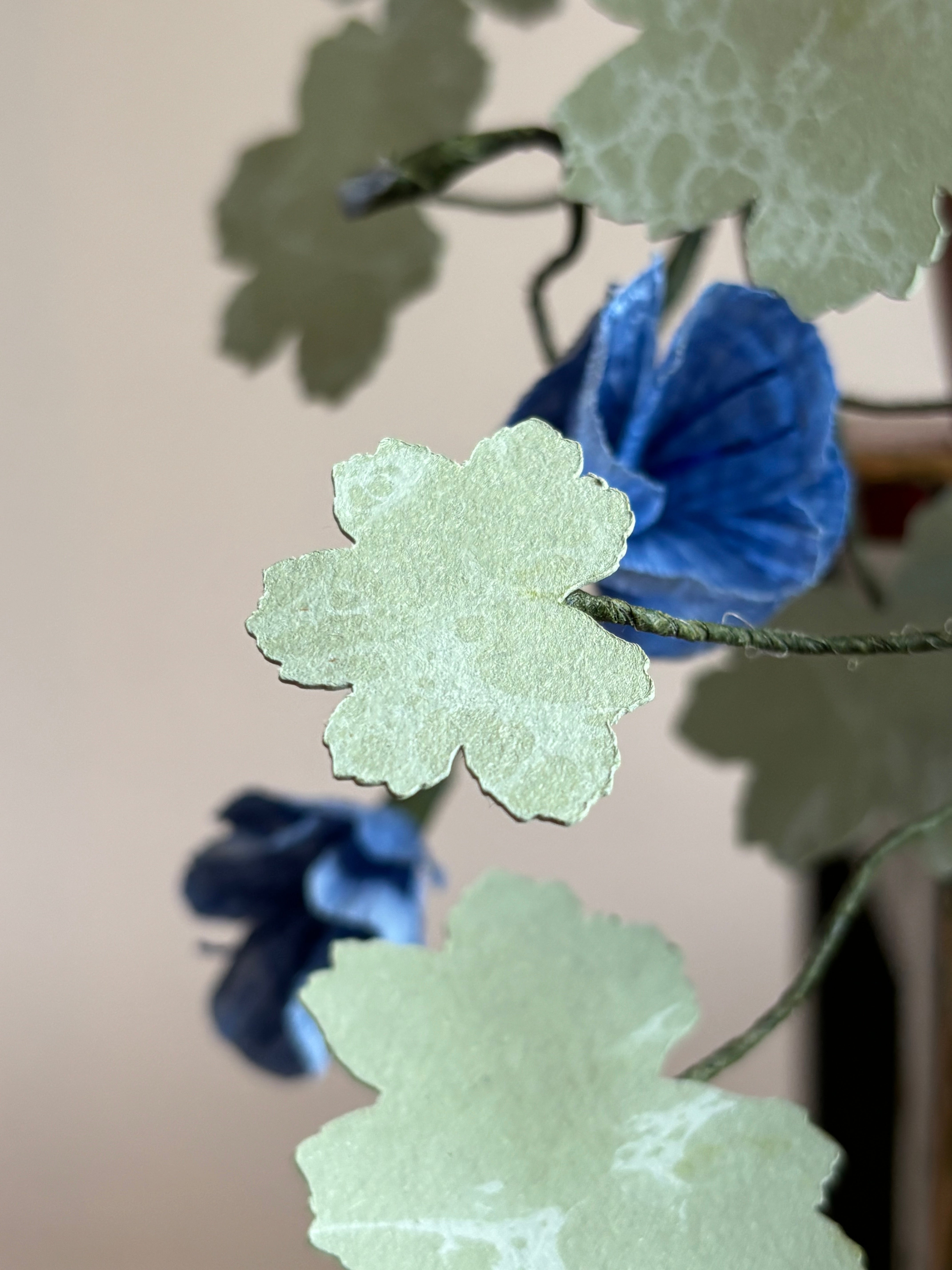 Paper hardy Geranium, trailing