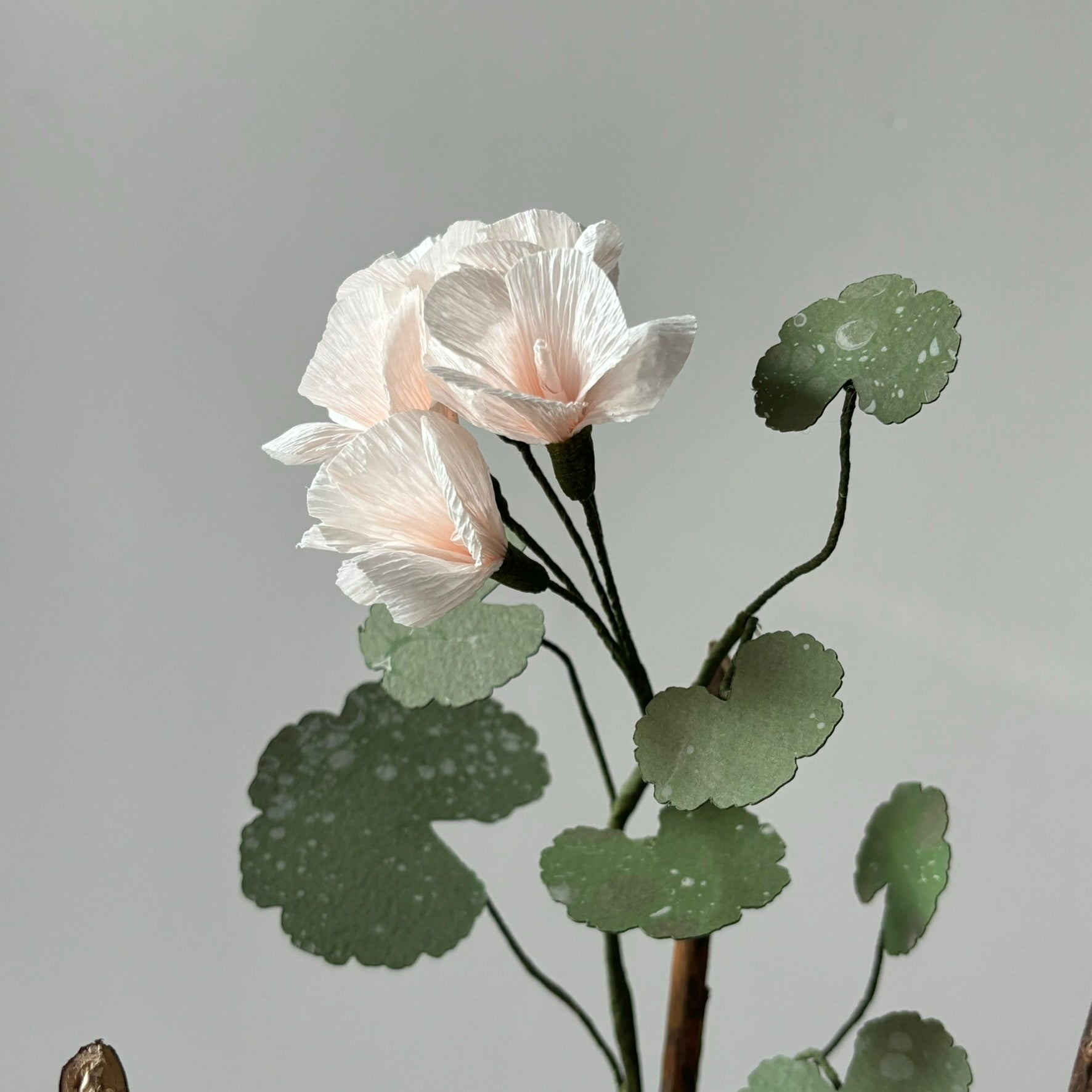 Paper Geranium