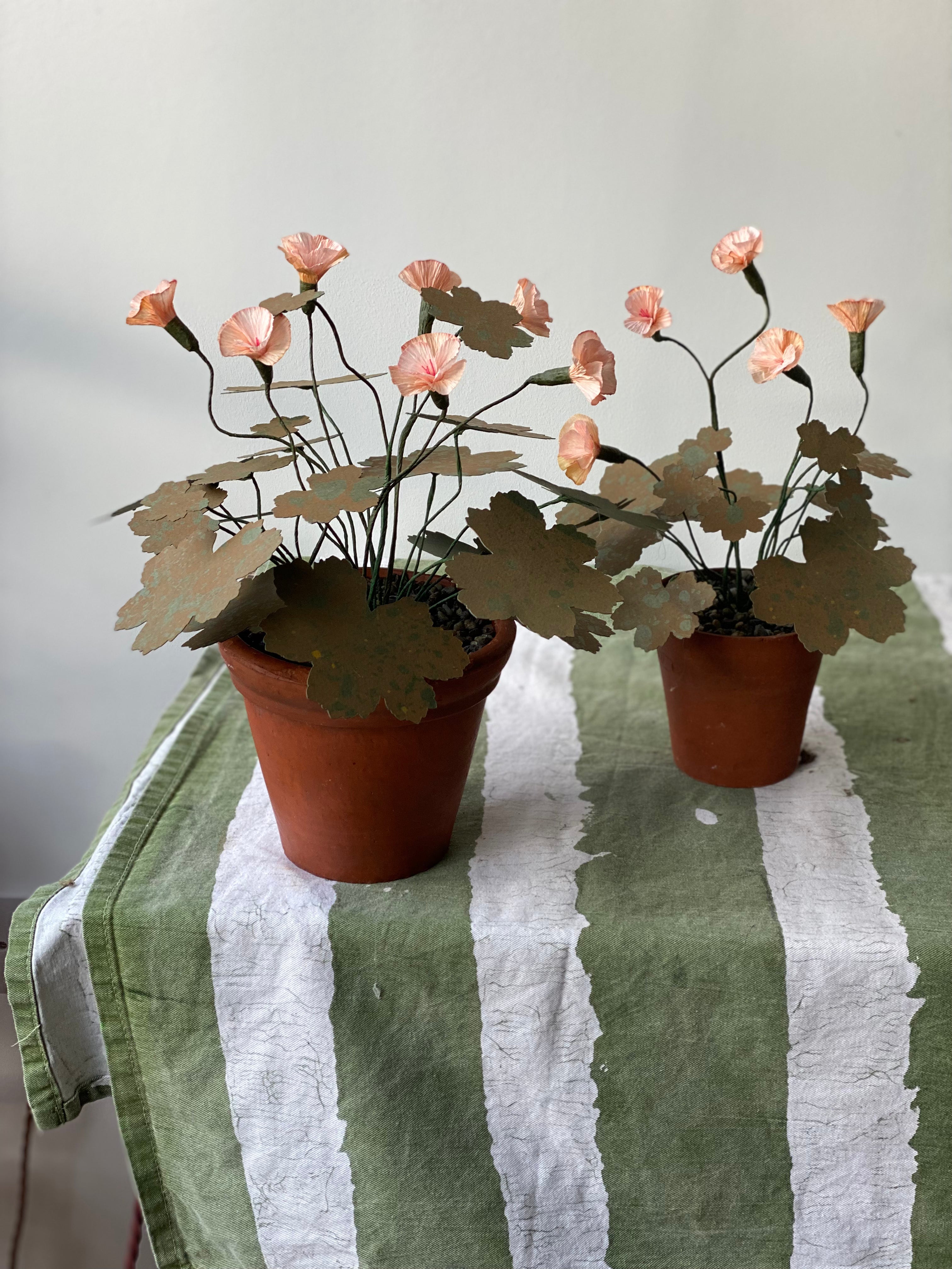 Paper Hardy Geranium