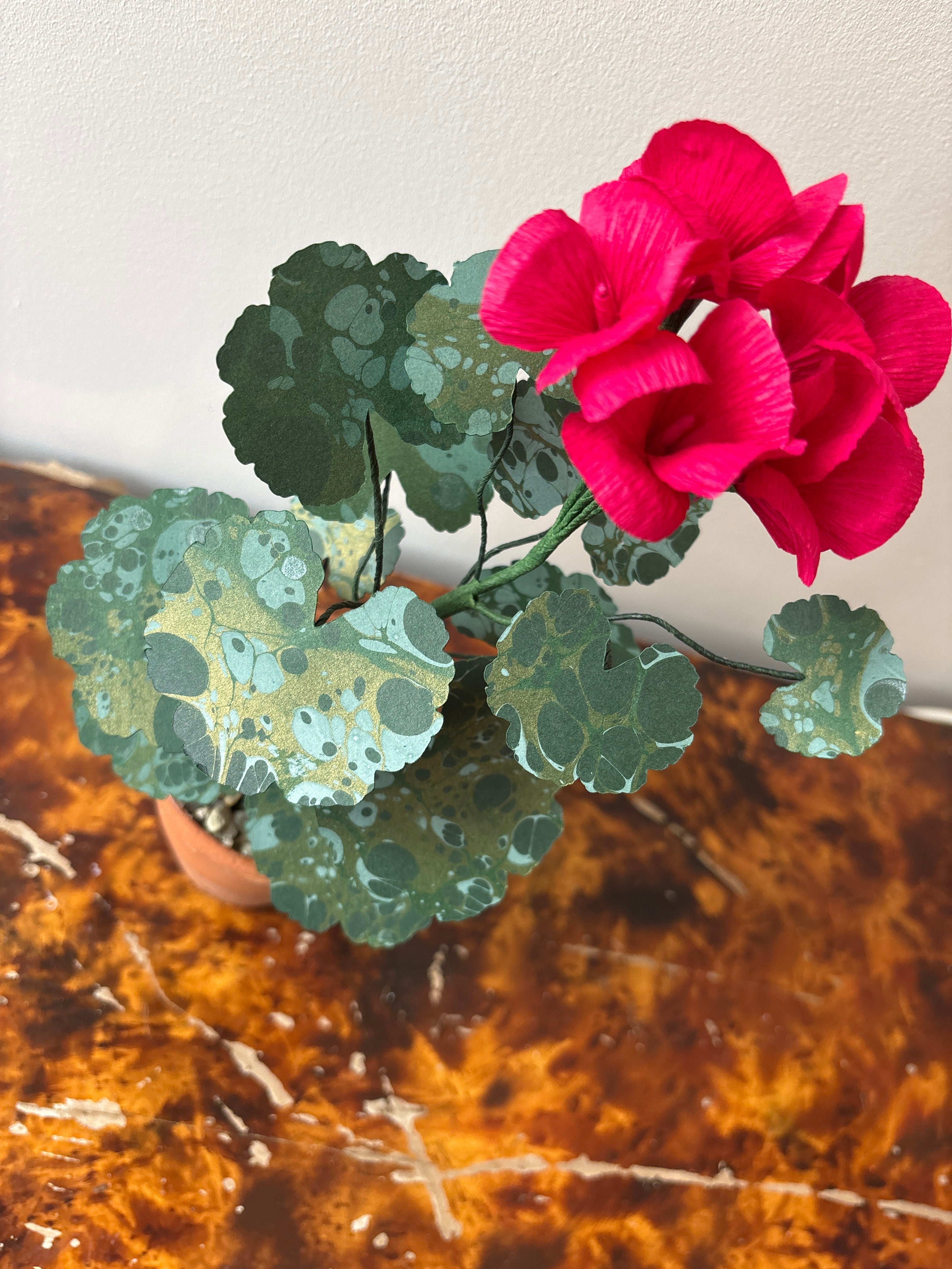 Paper Geranium