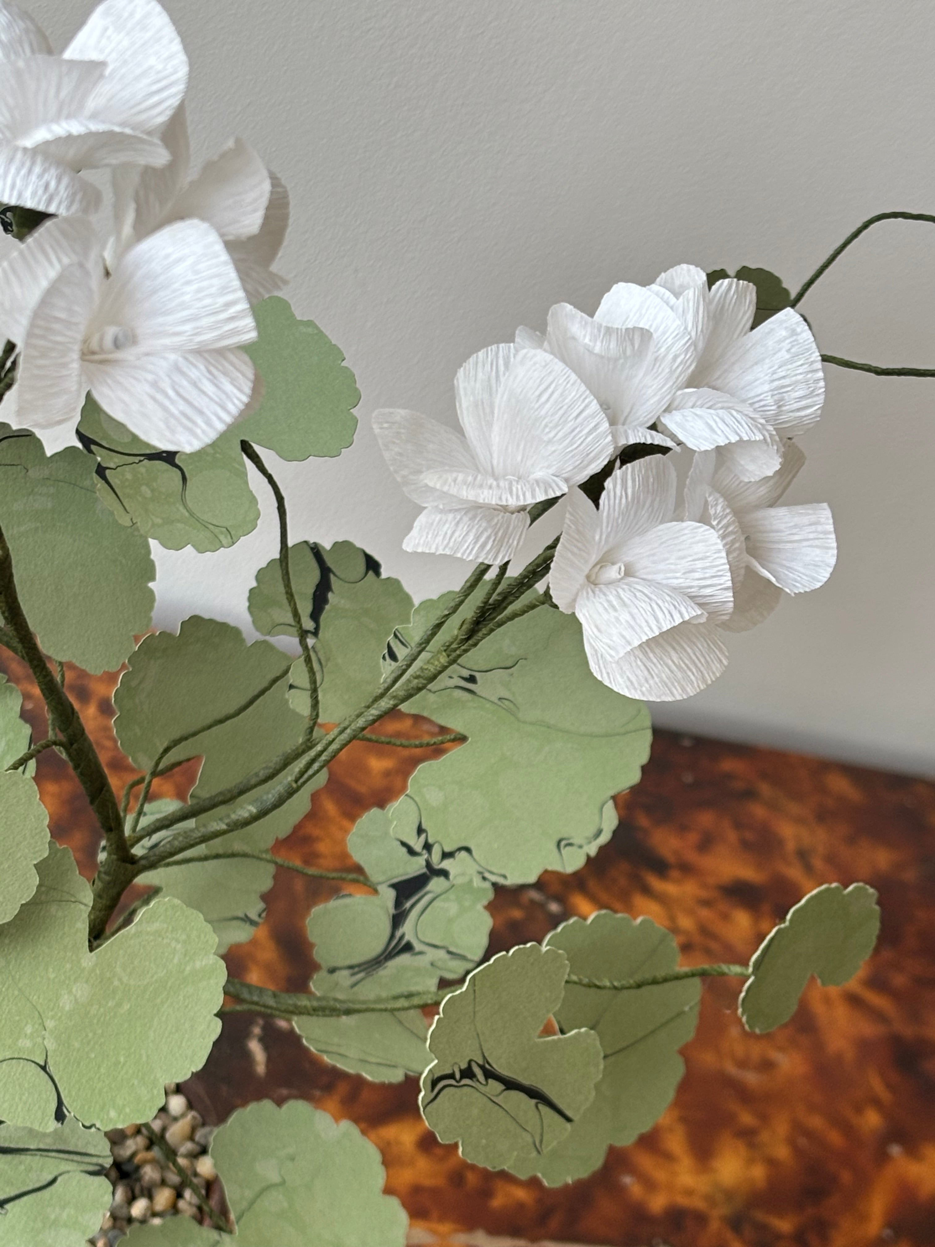 Paper Geranium