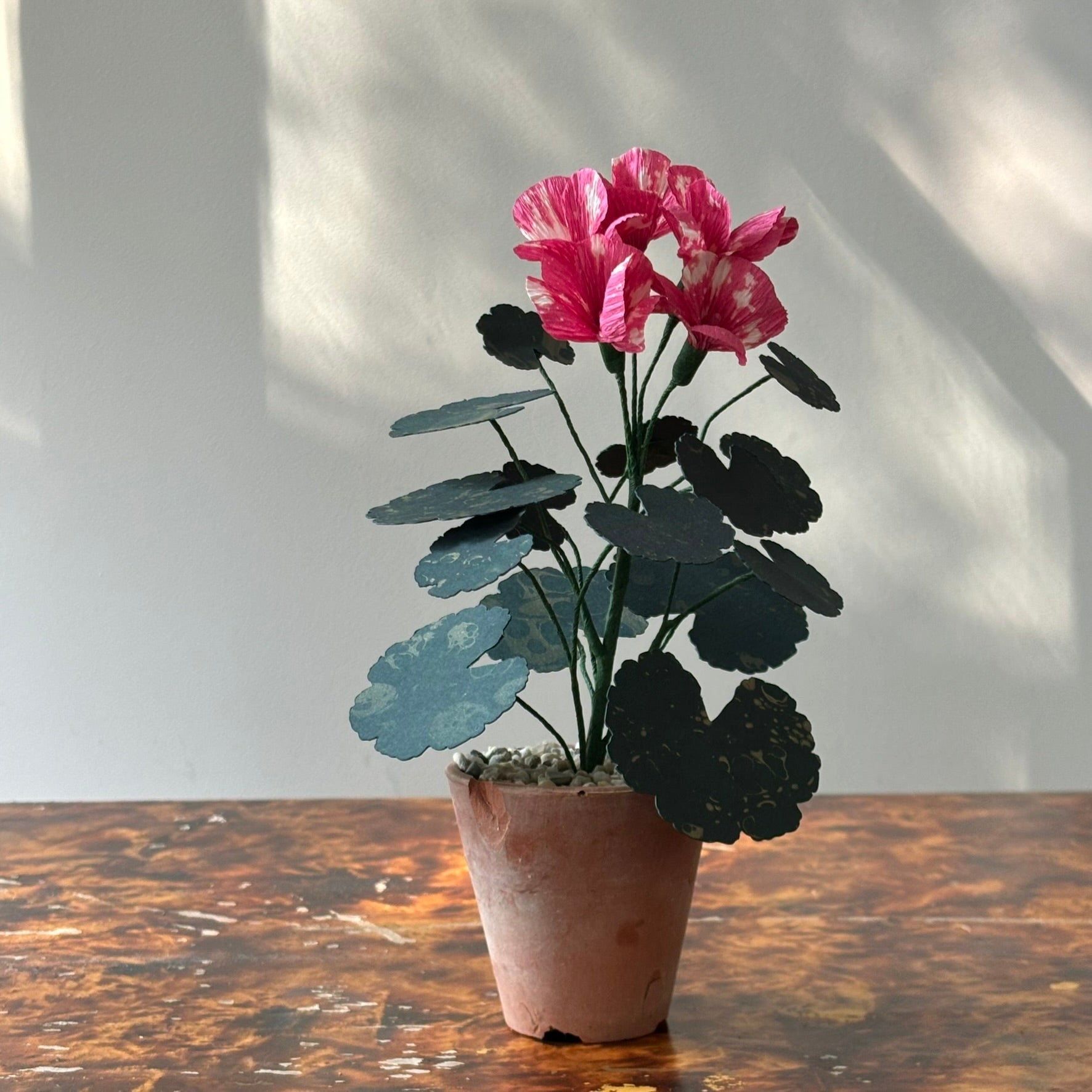 Paper Geranium