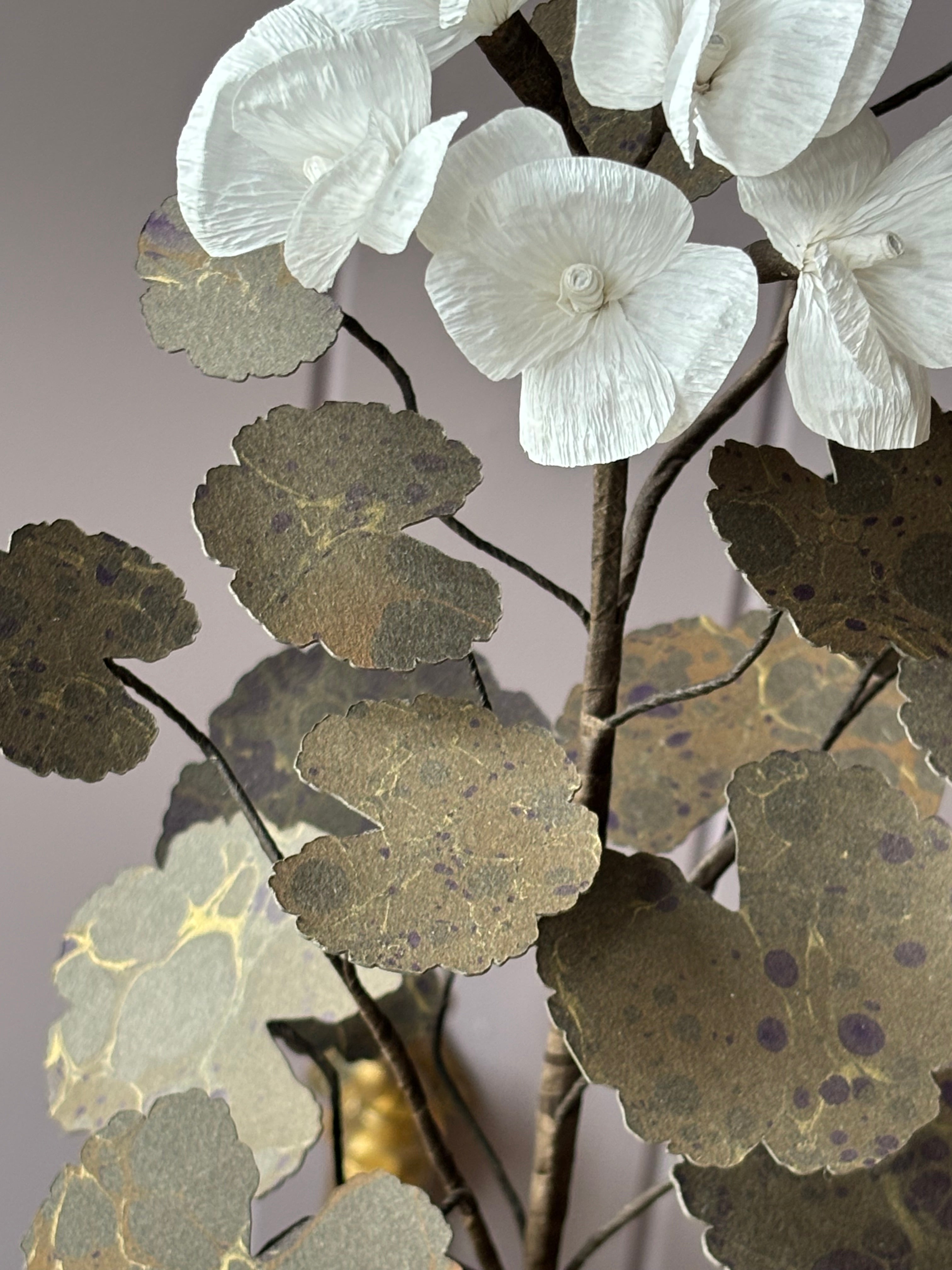 Paper Geranium