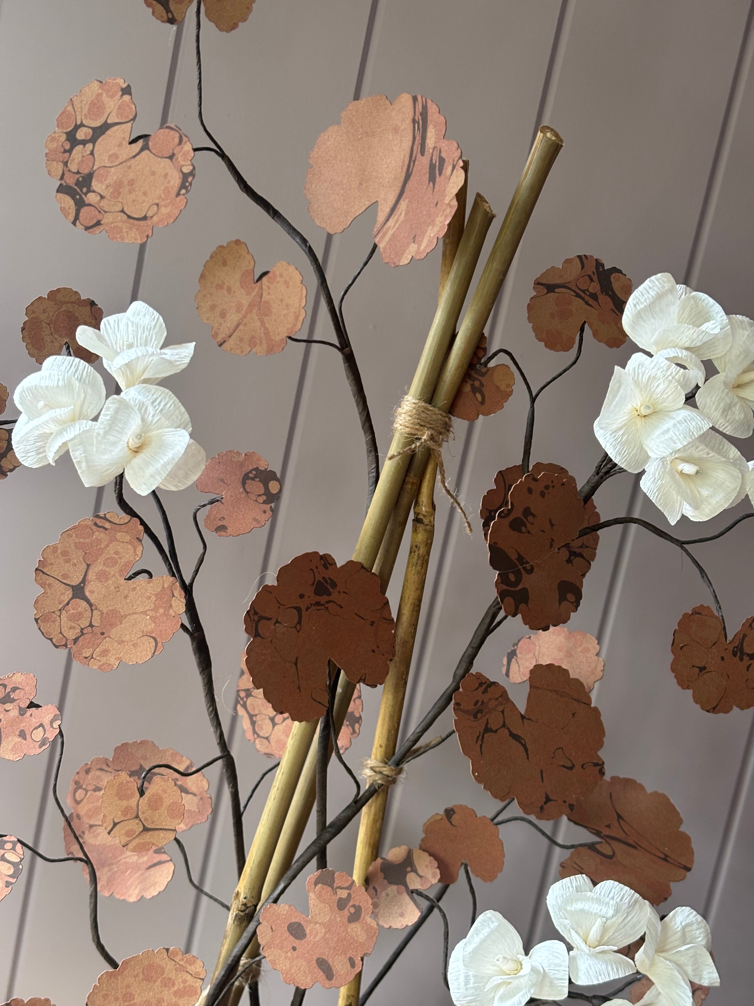 Paper geranium