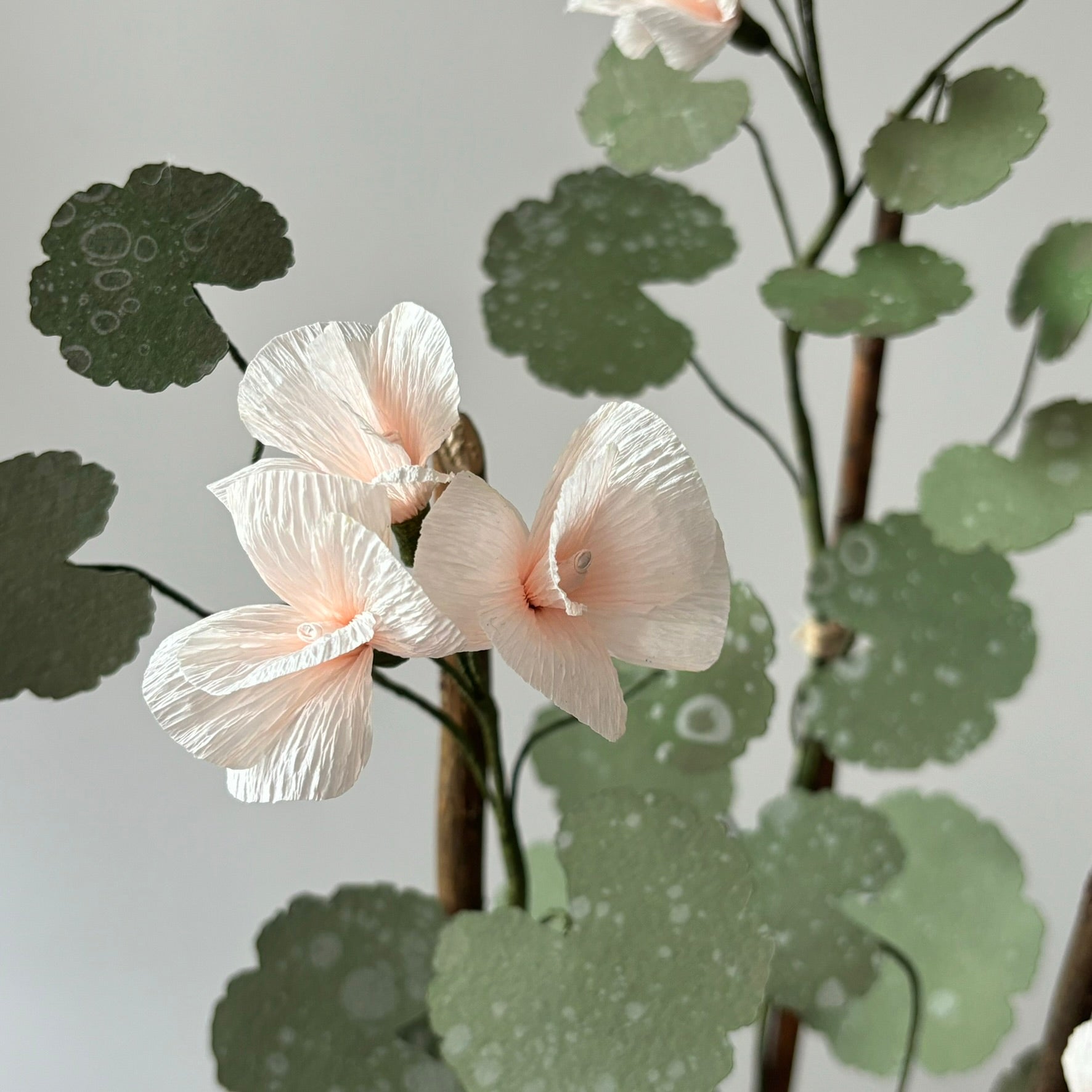 Paper Geranium
