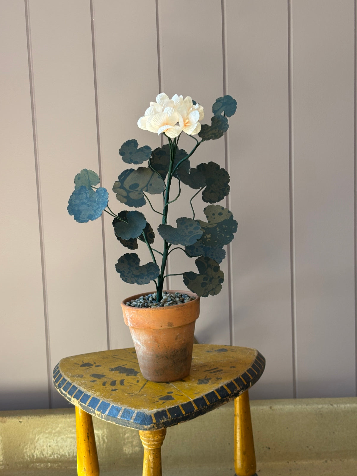 Paper geranium