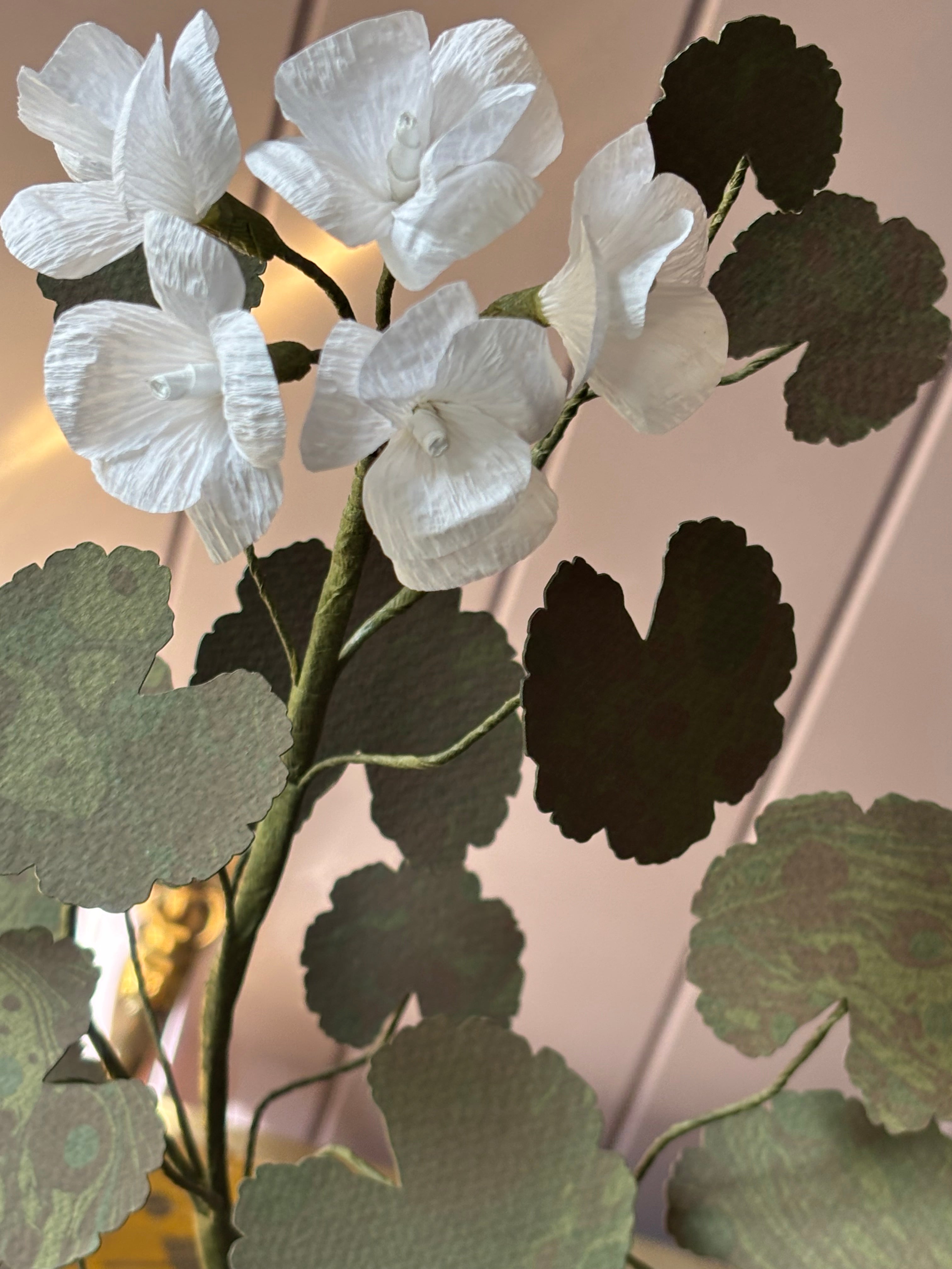 Paper geranium