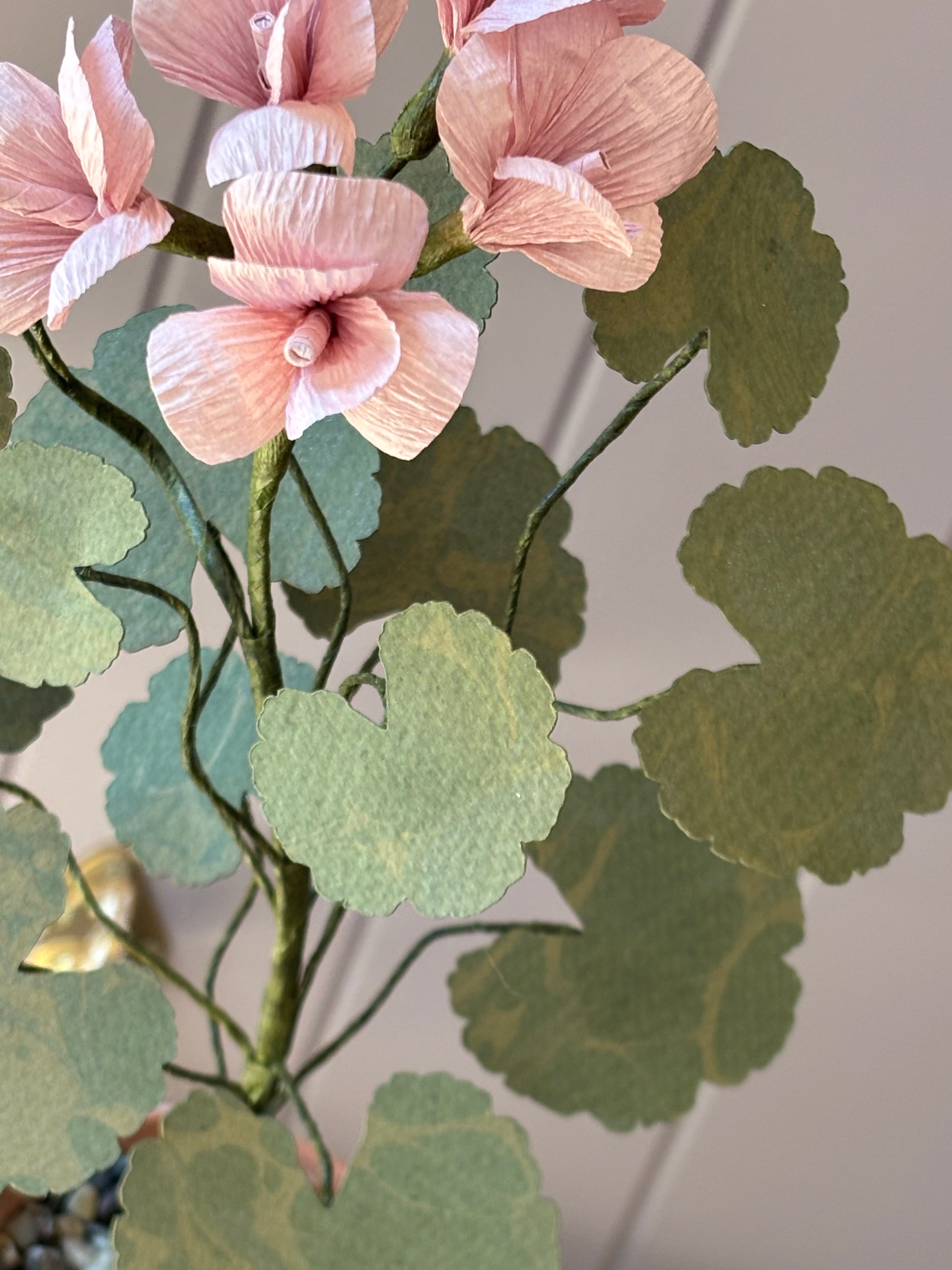 Paper geranium