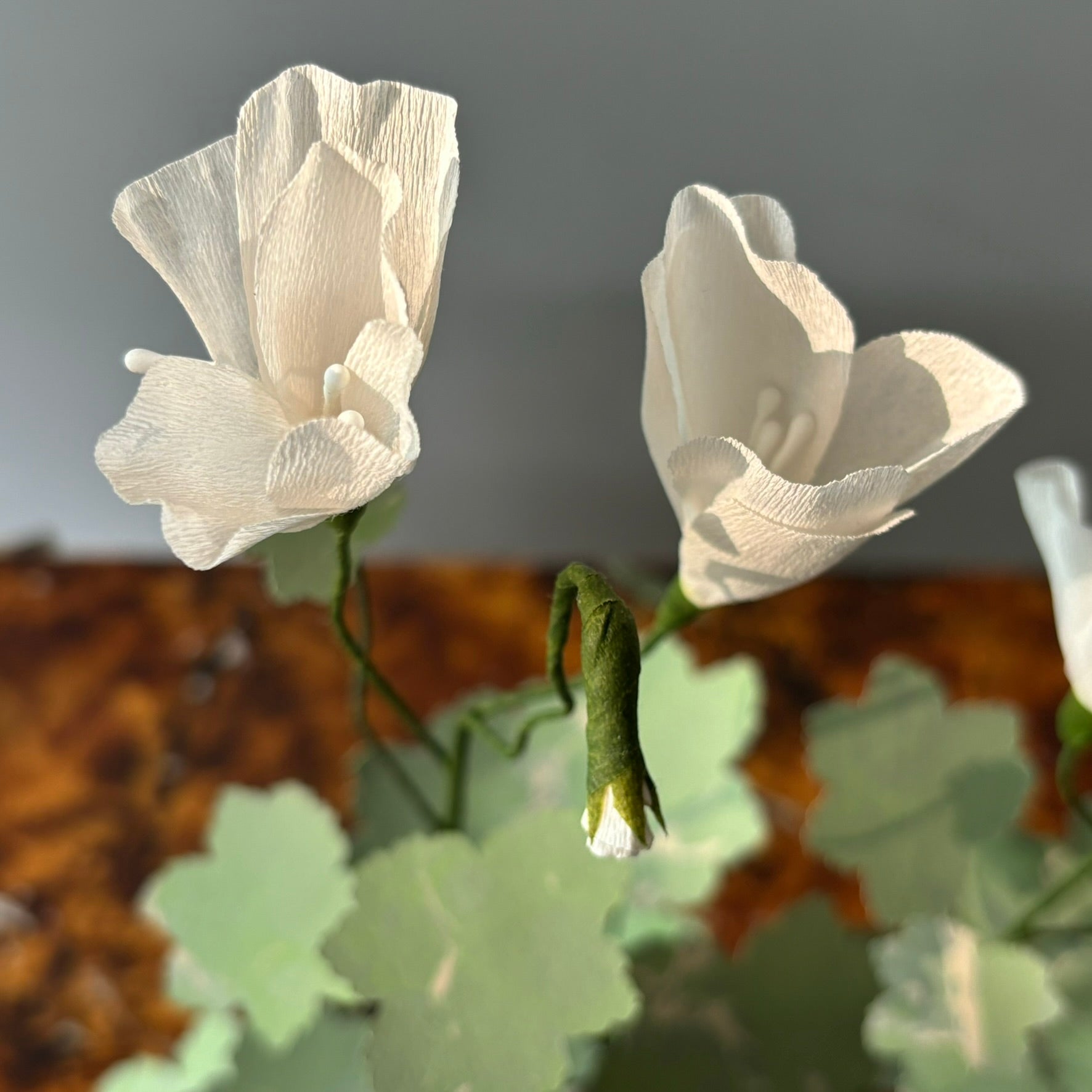 Paper Geranium