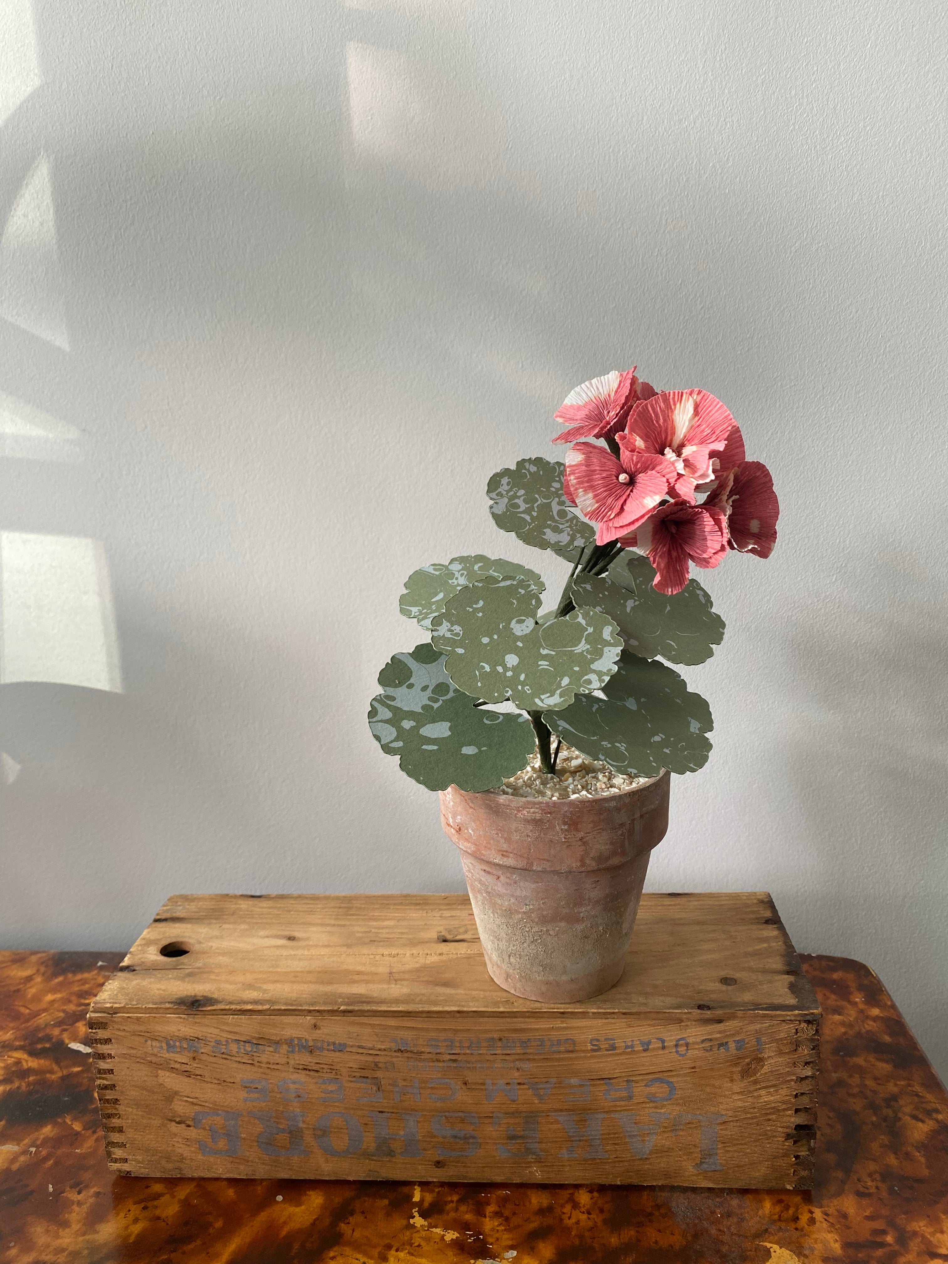 Paper Geranium