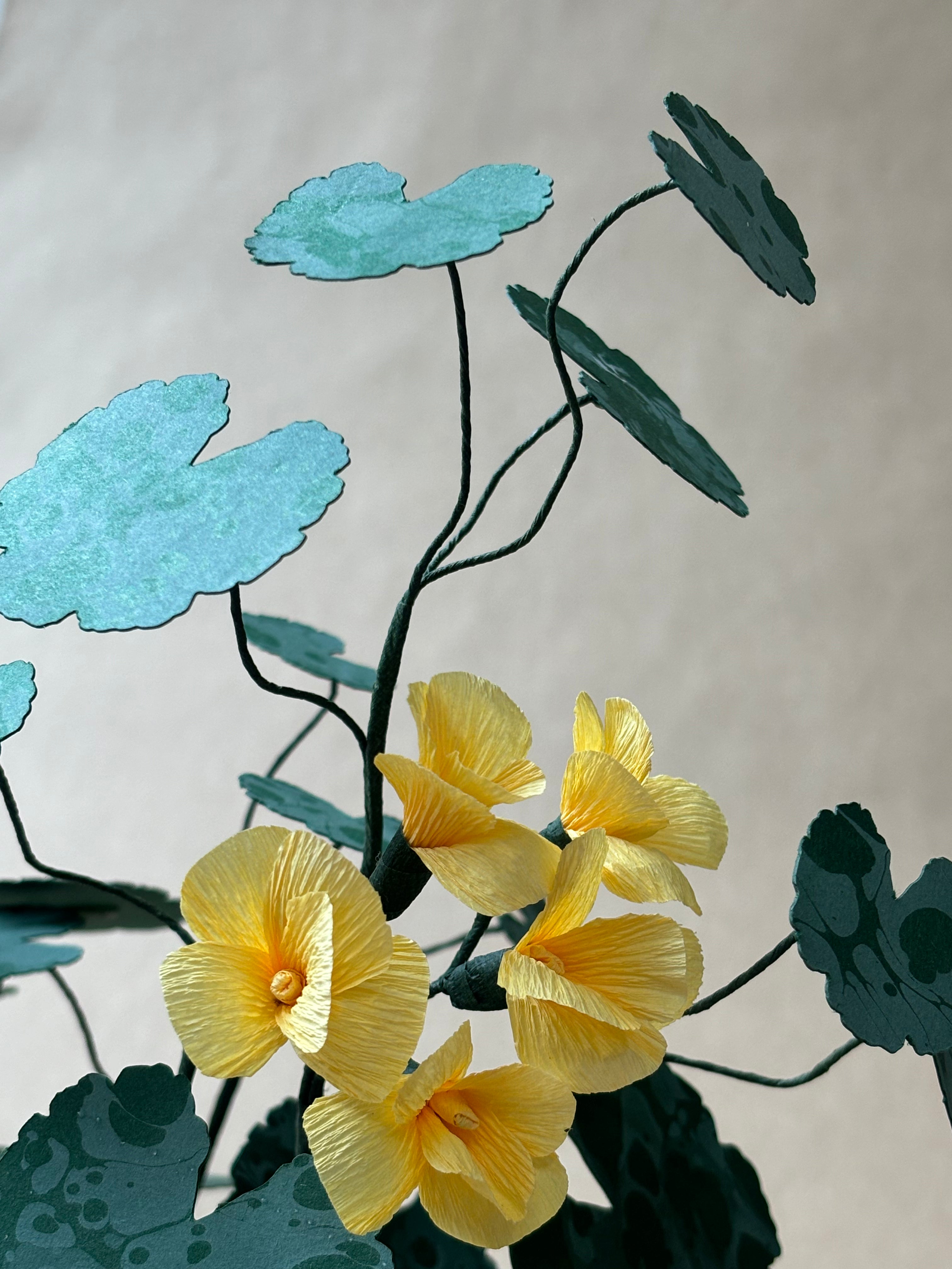 Geranium