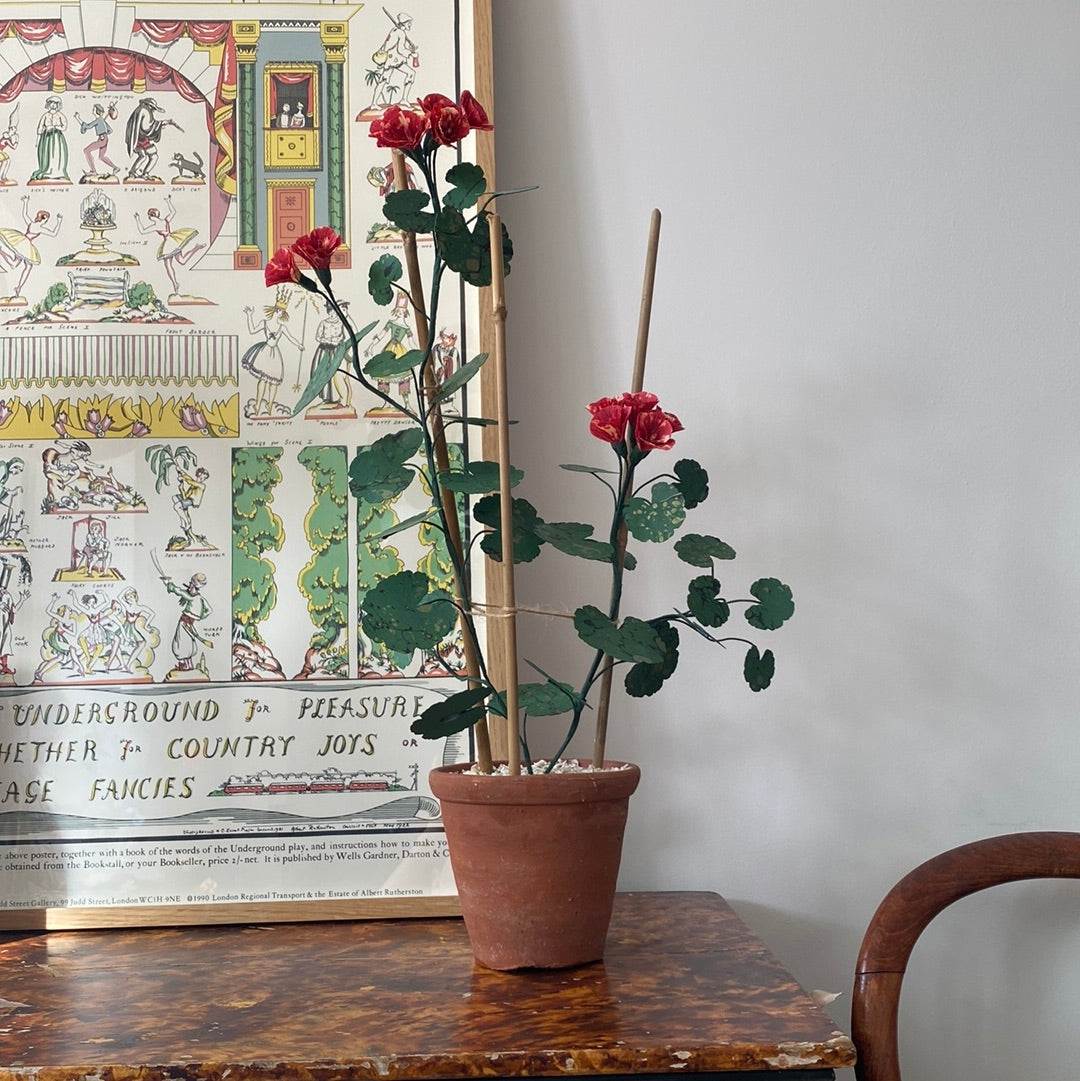 Paper Geranium