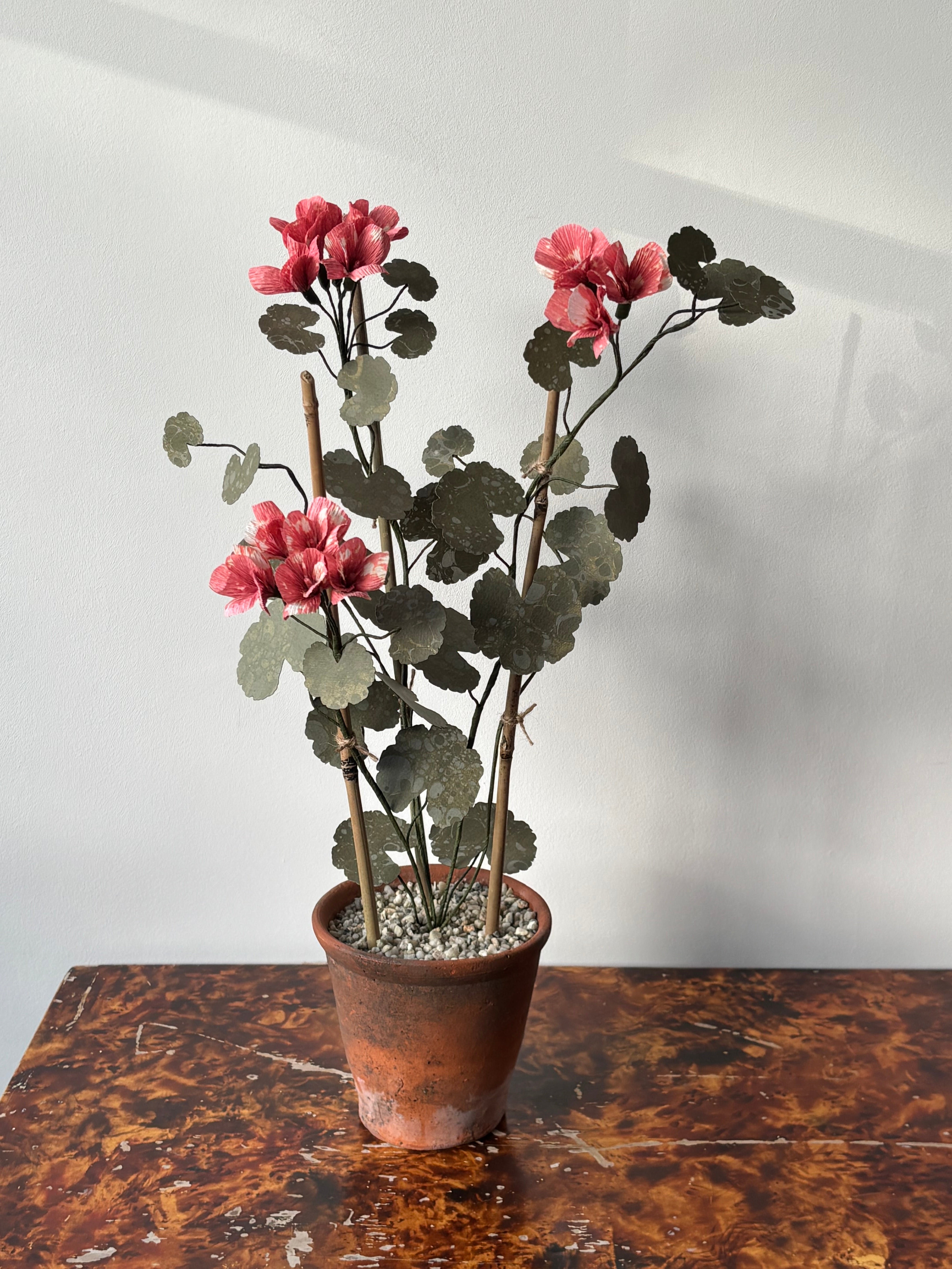 Paper Geranium