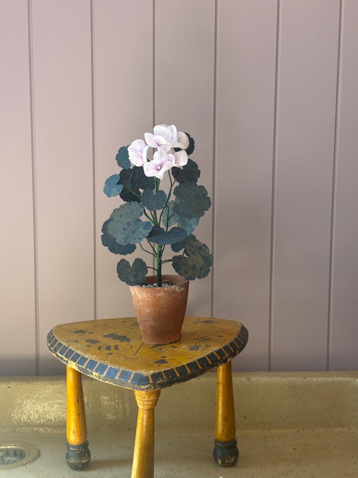 Paper geranium