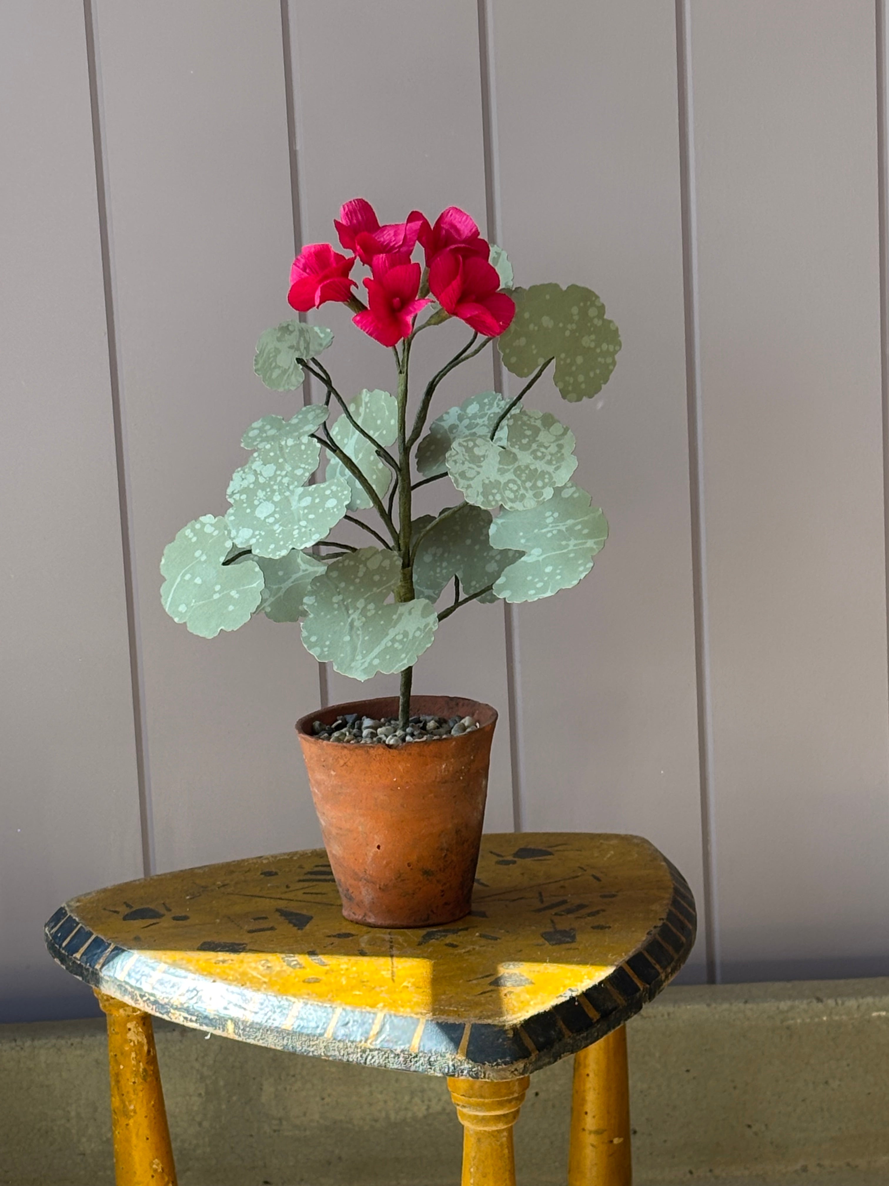 Paper Geranium