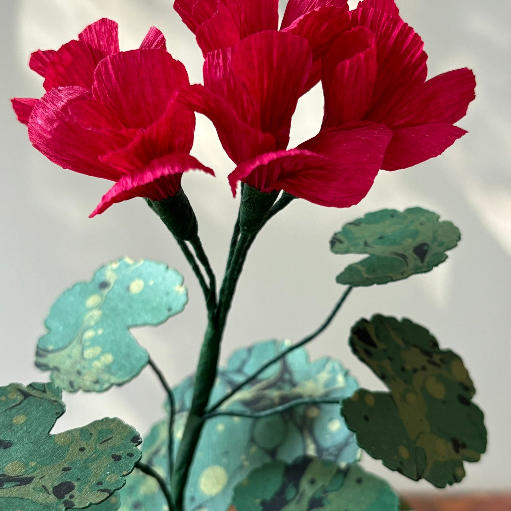 Paper Geranium
