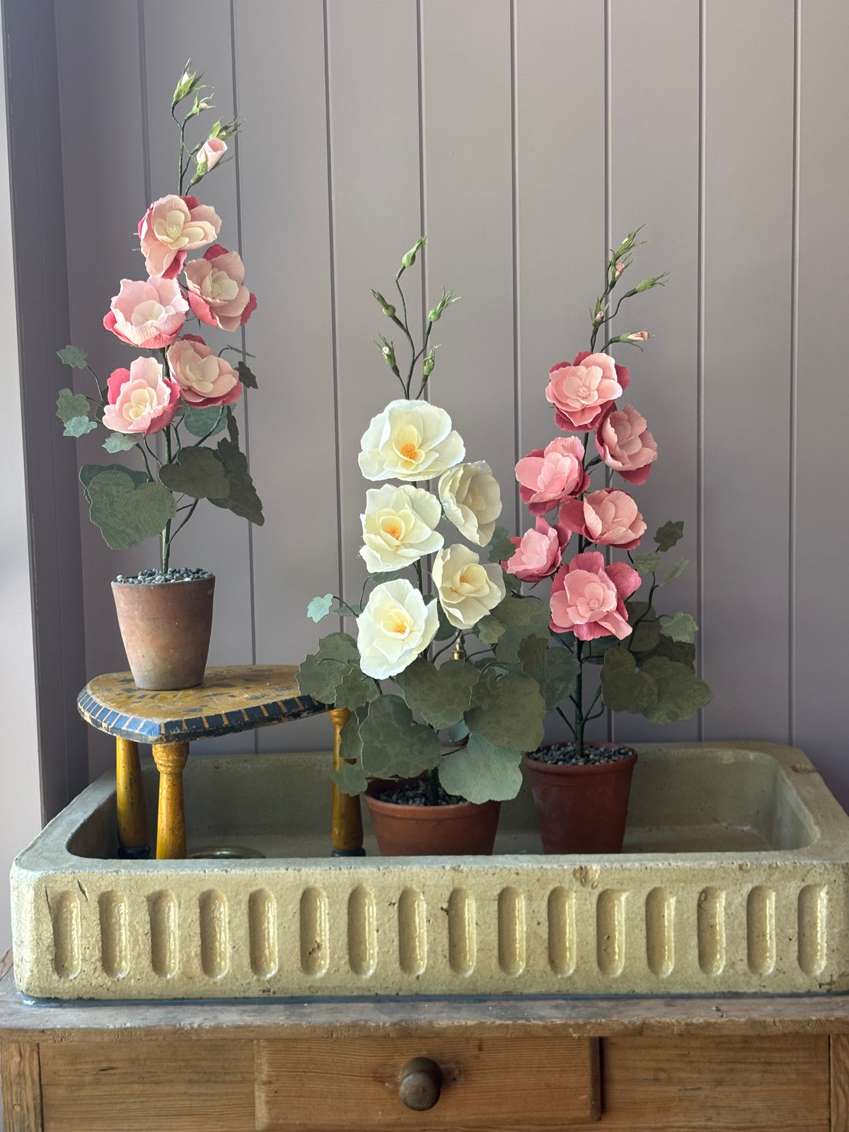 Paper Hollyhock
