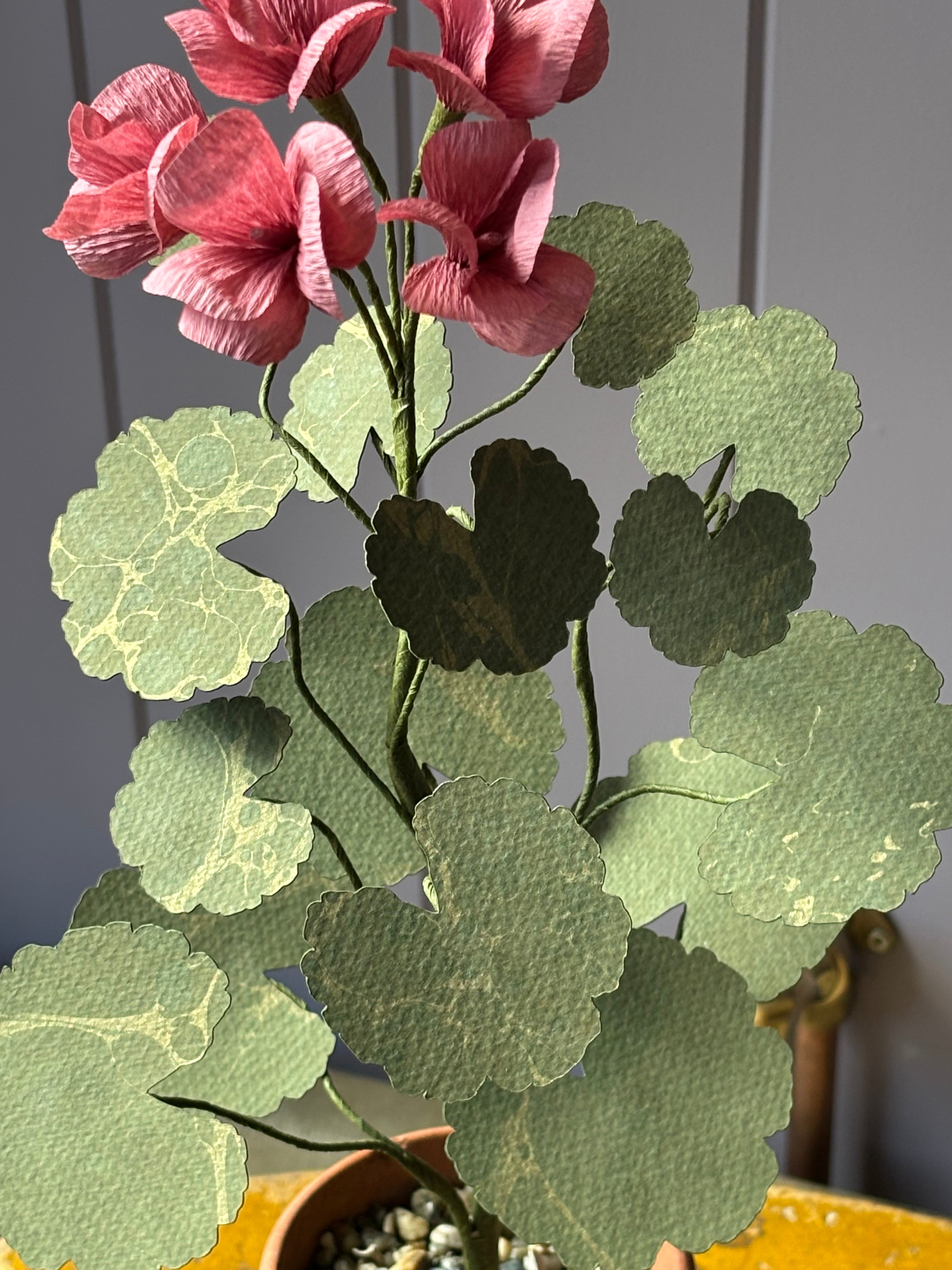 Paper Geranium