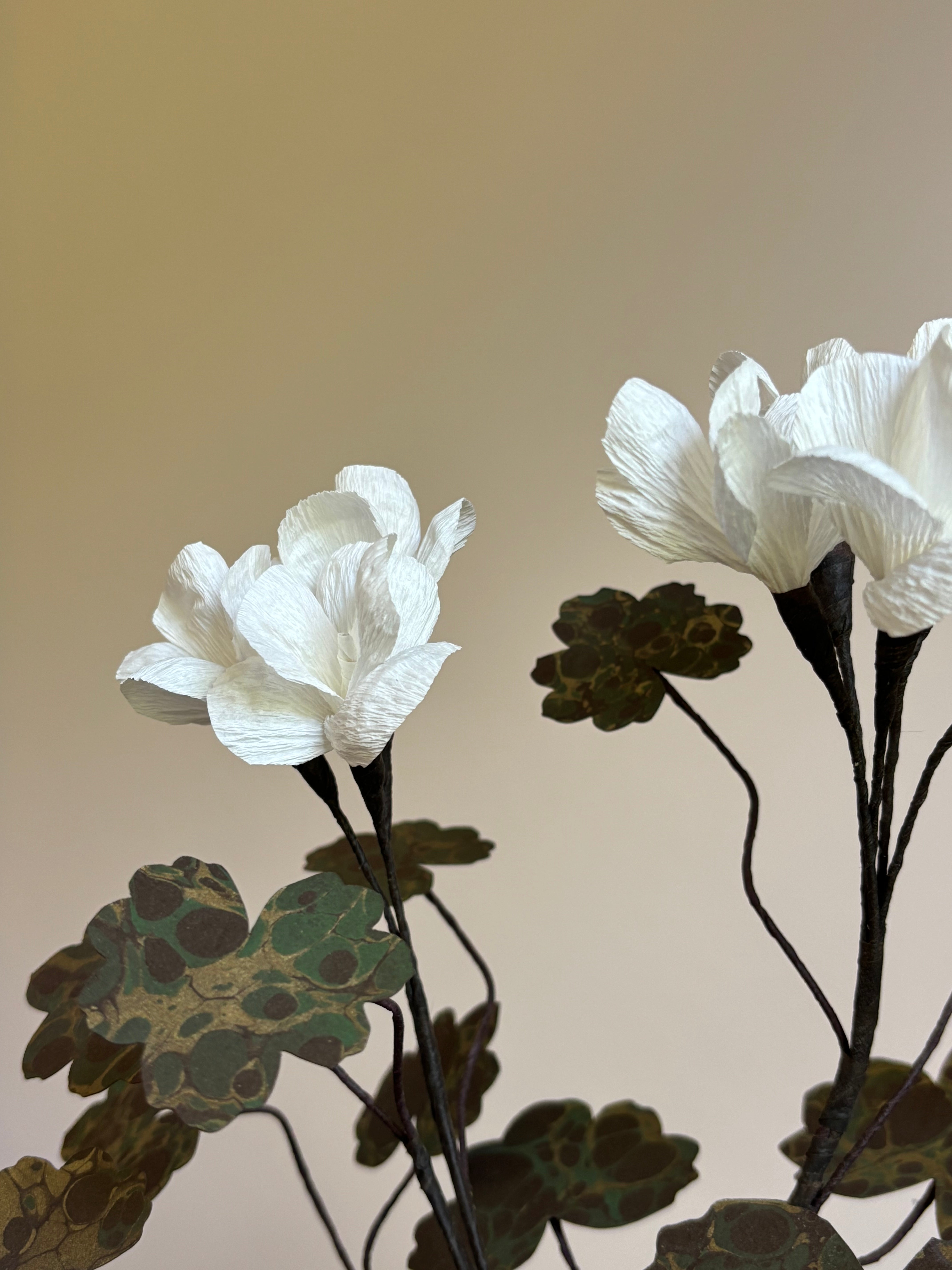 Paper Geranium