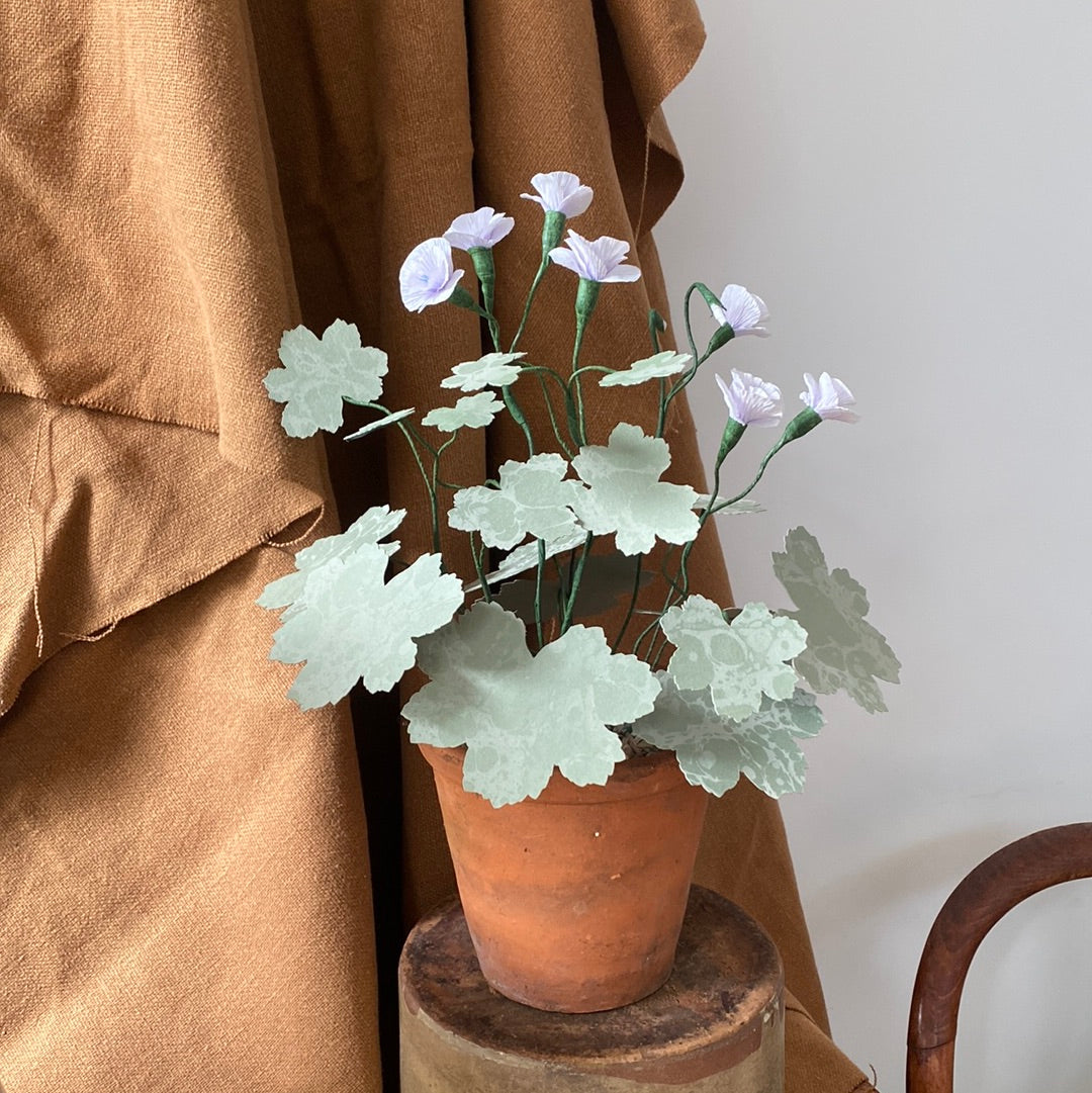 Paper Geranium