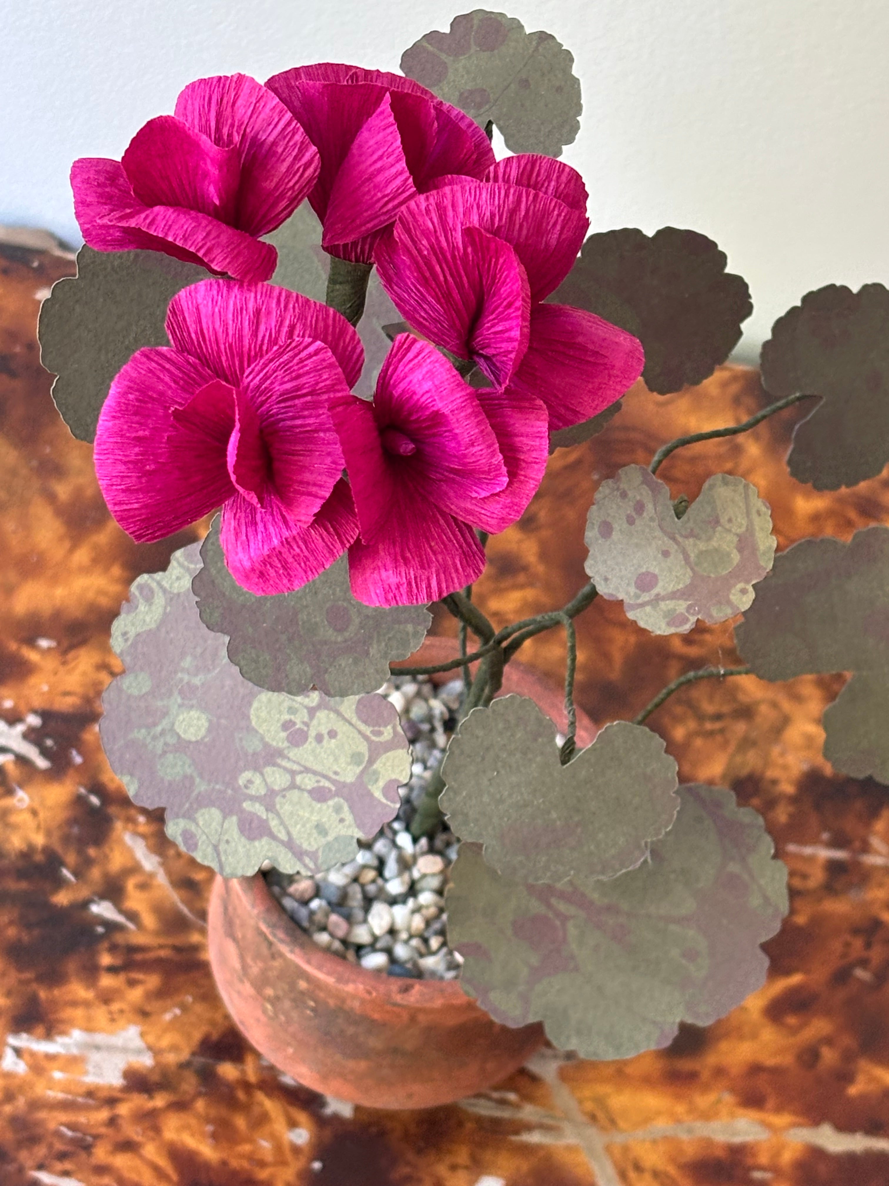 Paper Geranium