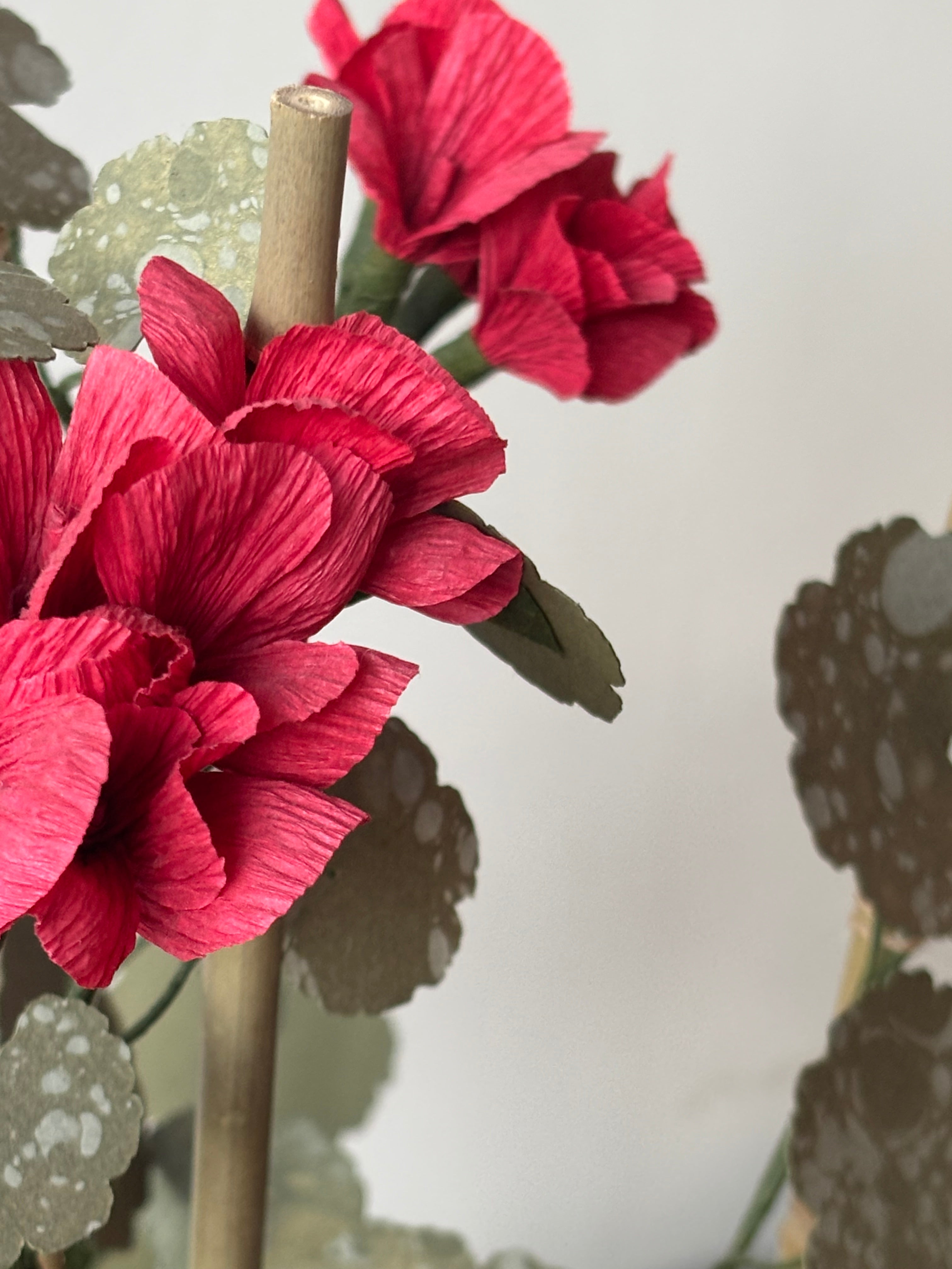 Paper Geranium