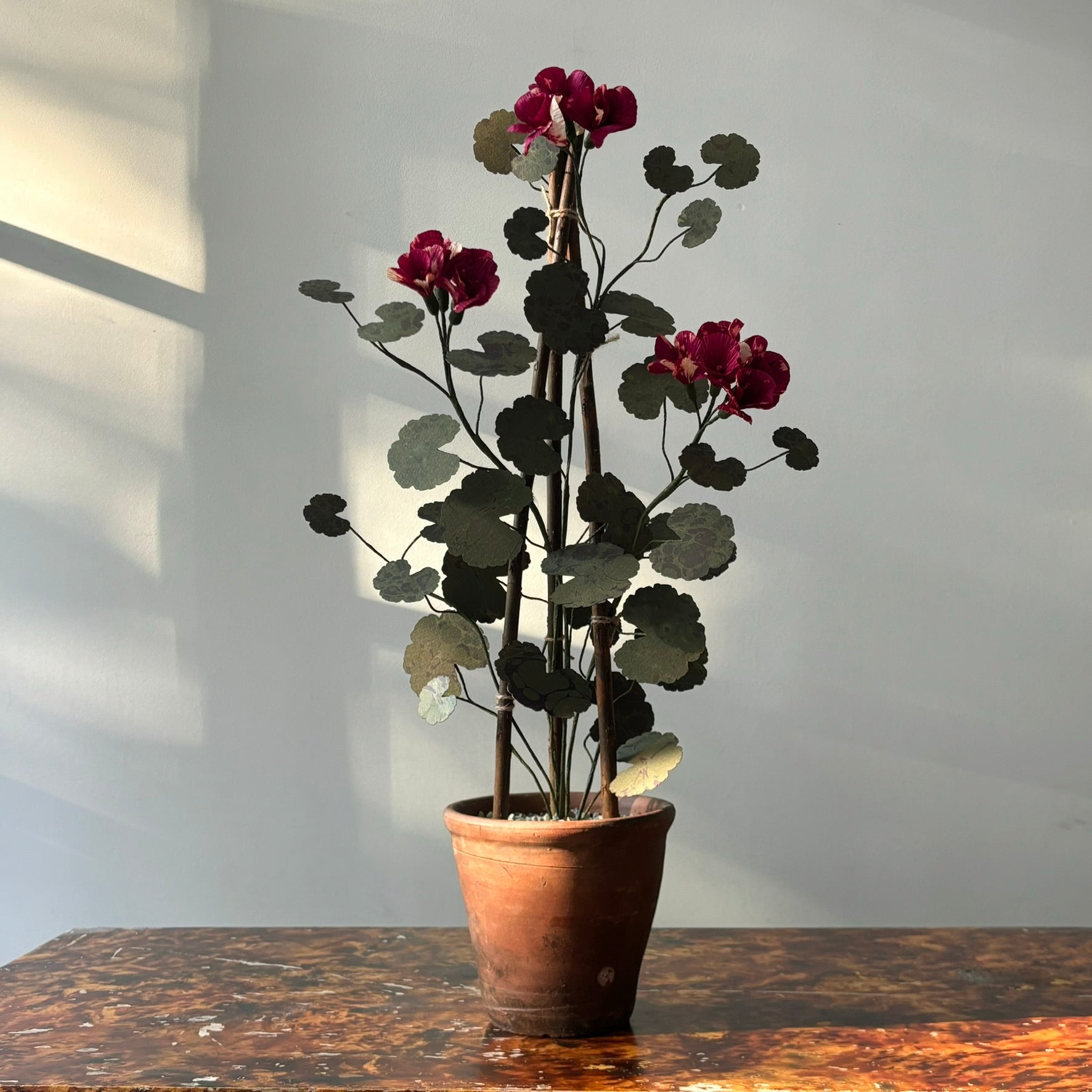 Paper Geranium