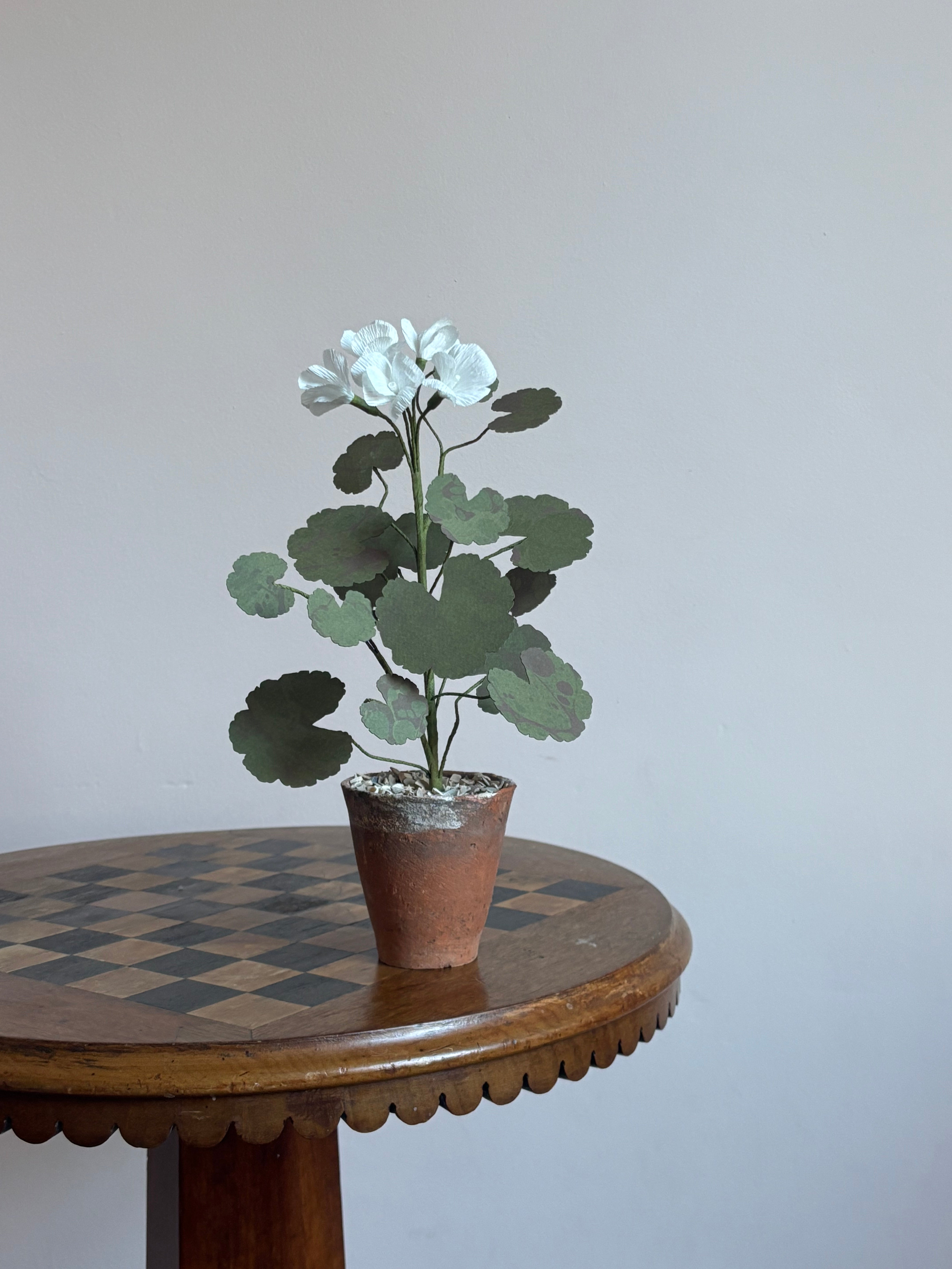 Paper Geranium