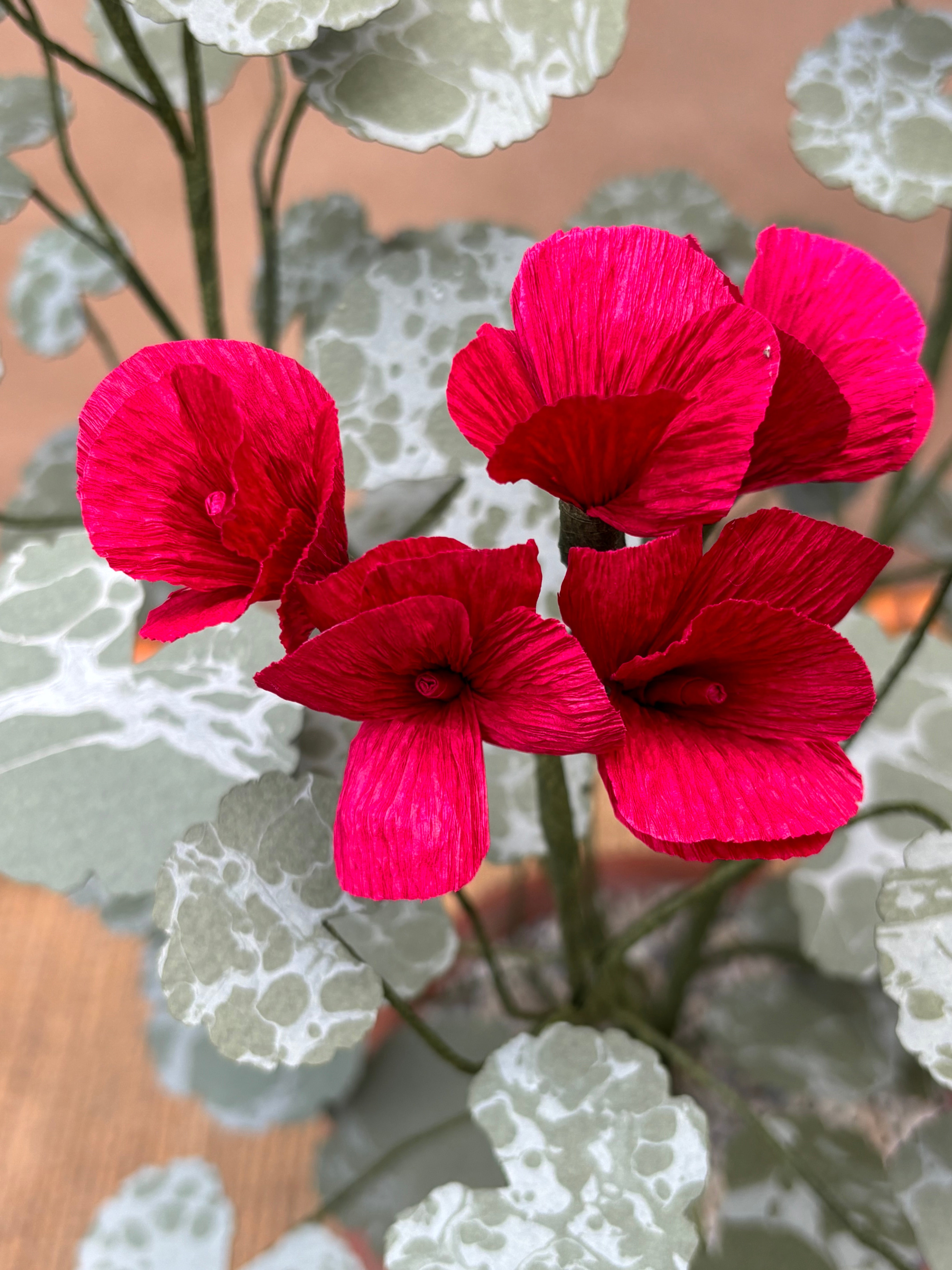 Geranium