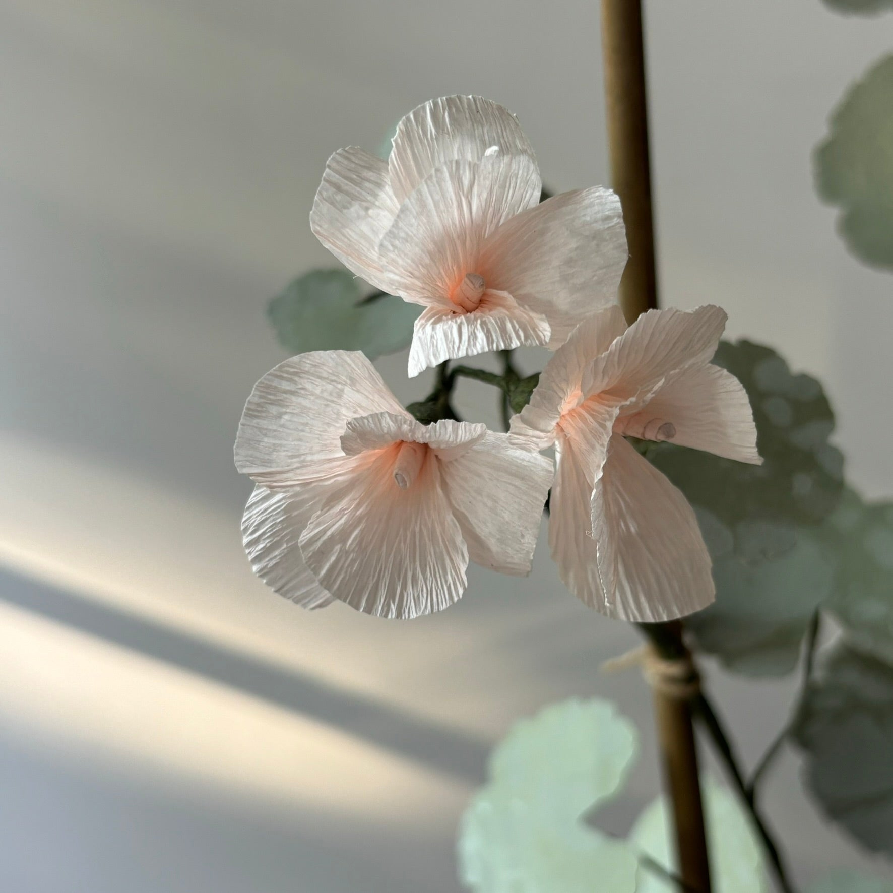 Paper Geranium