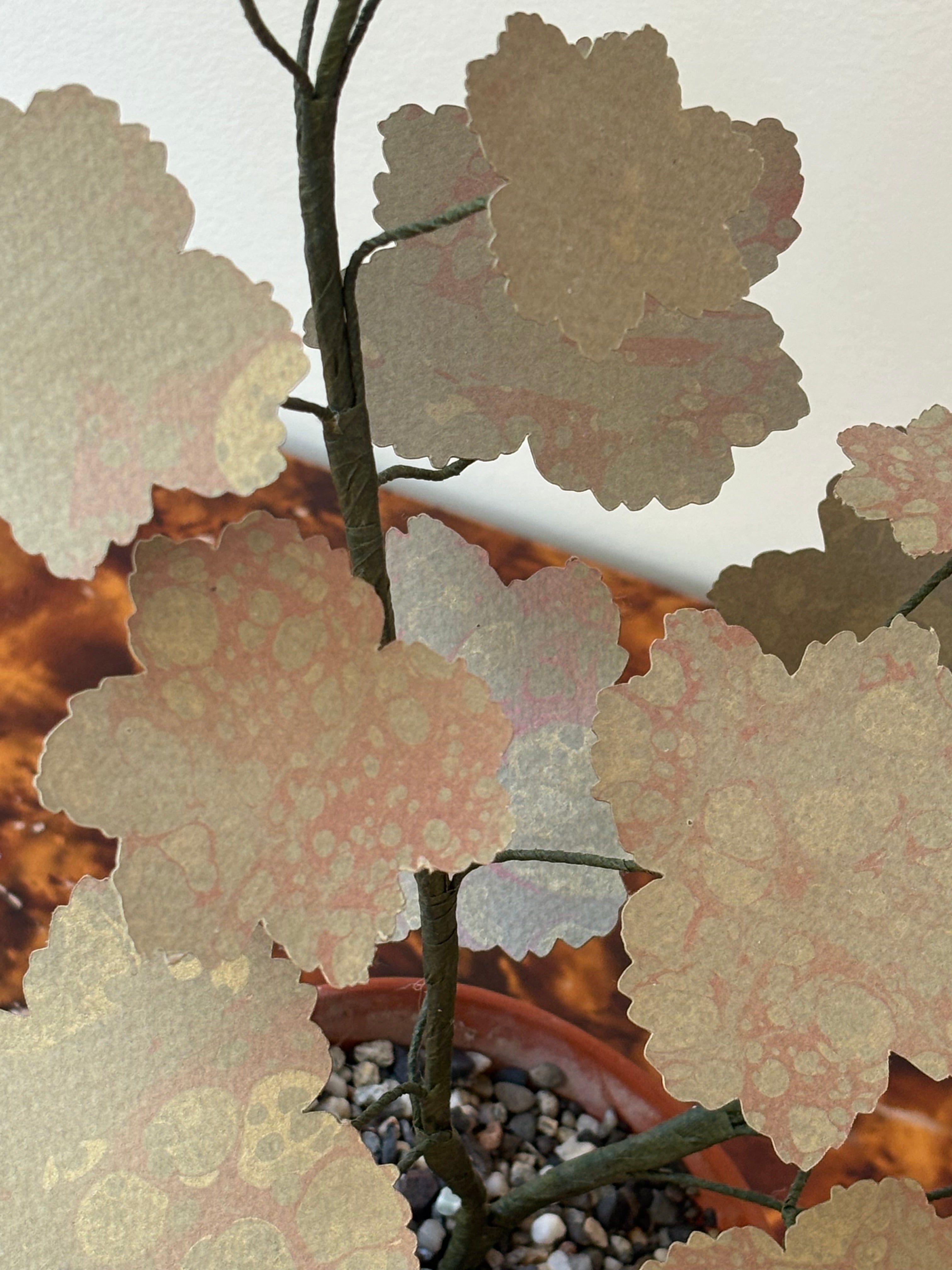 Paper Geranium