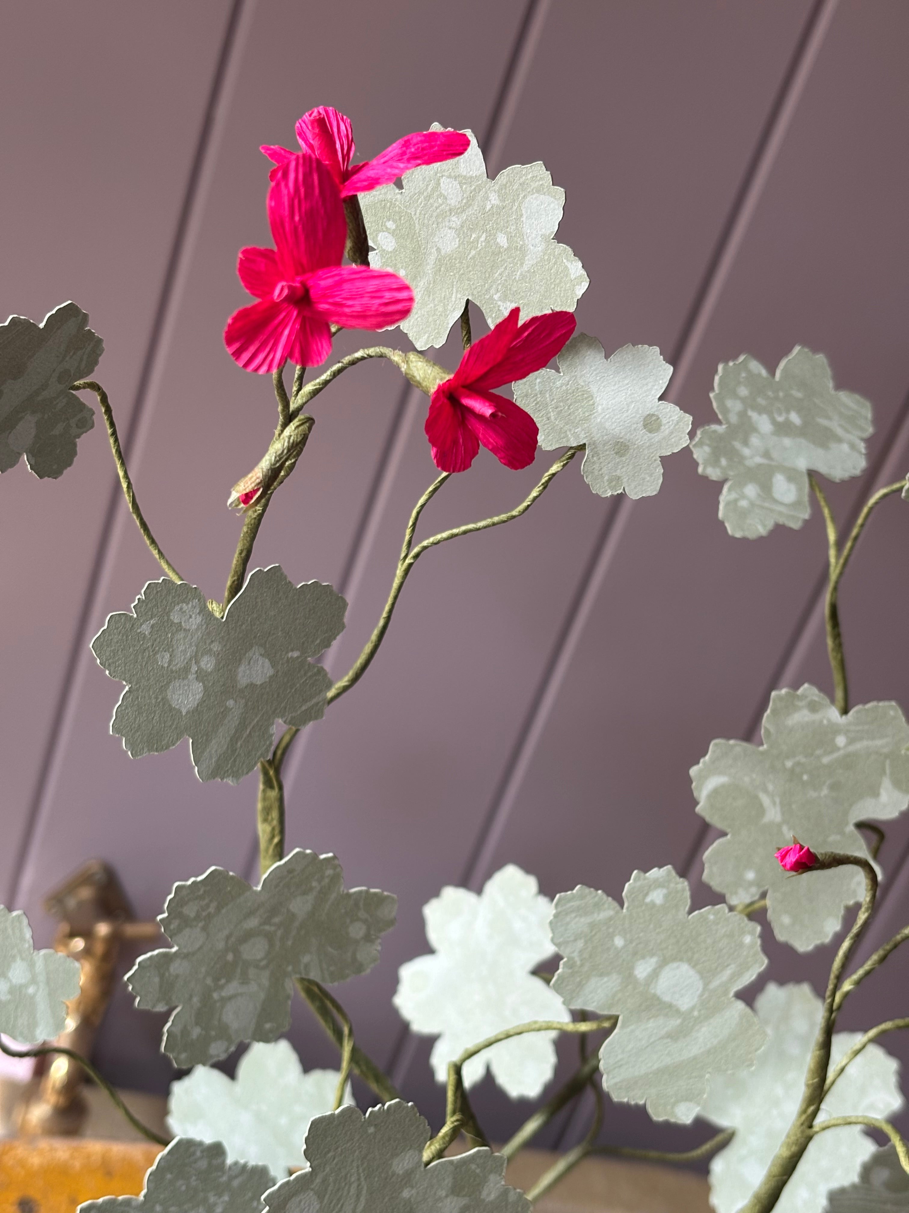 Paper geranium