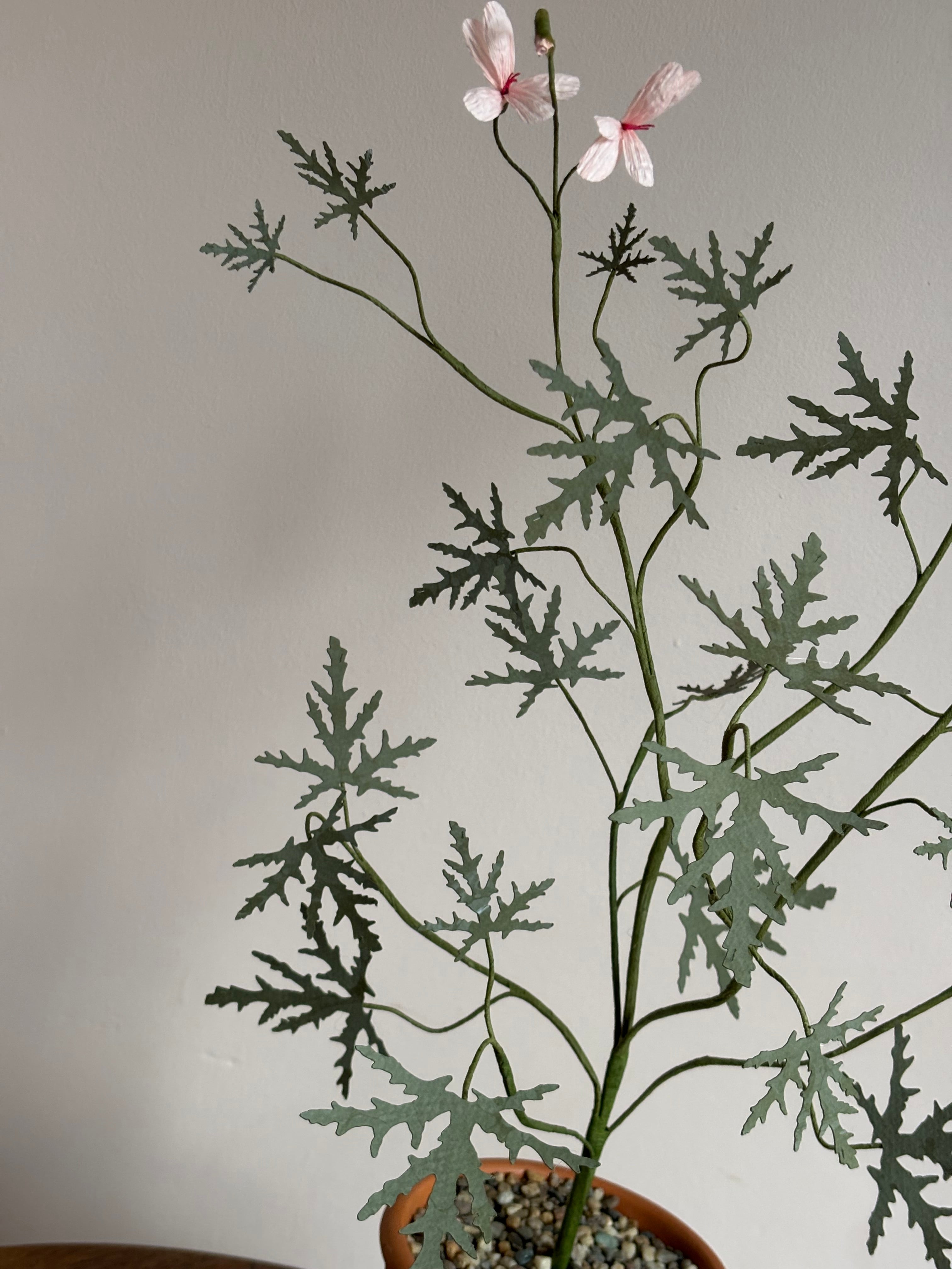 Paper Pelargonium, inspired by Pelargonium graveolens