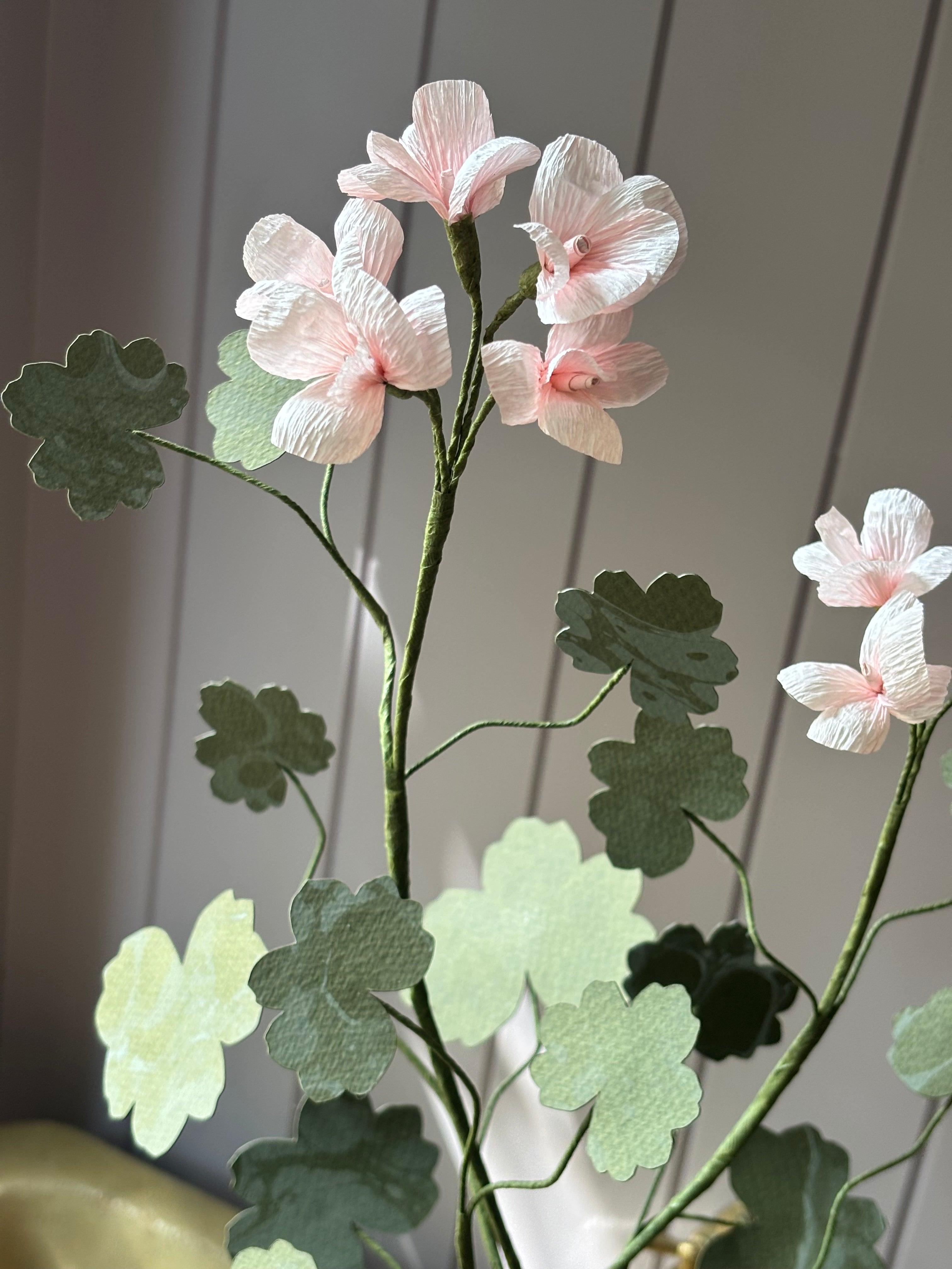 Paper geranium