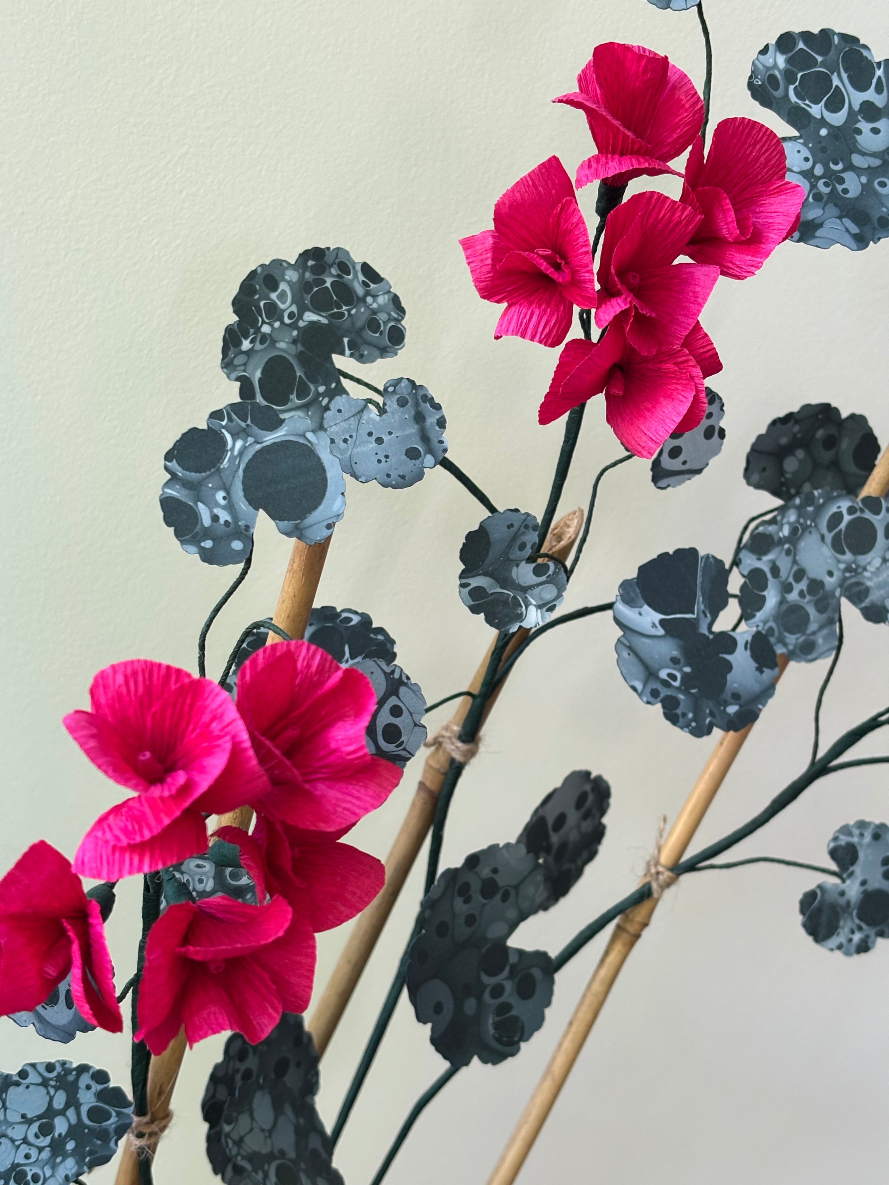 Paper Geranium