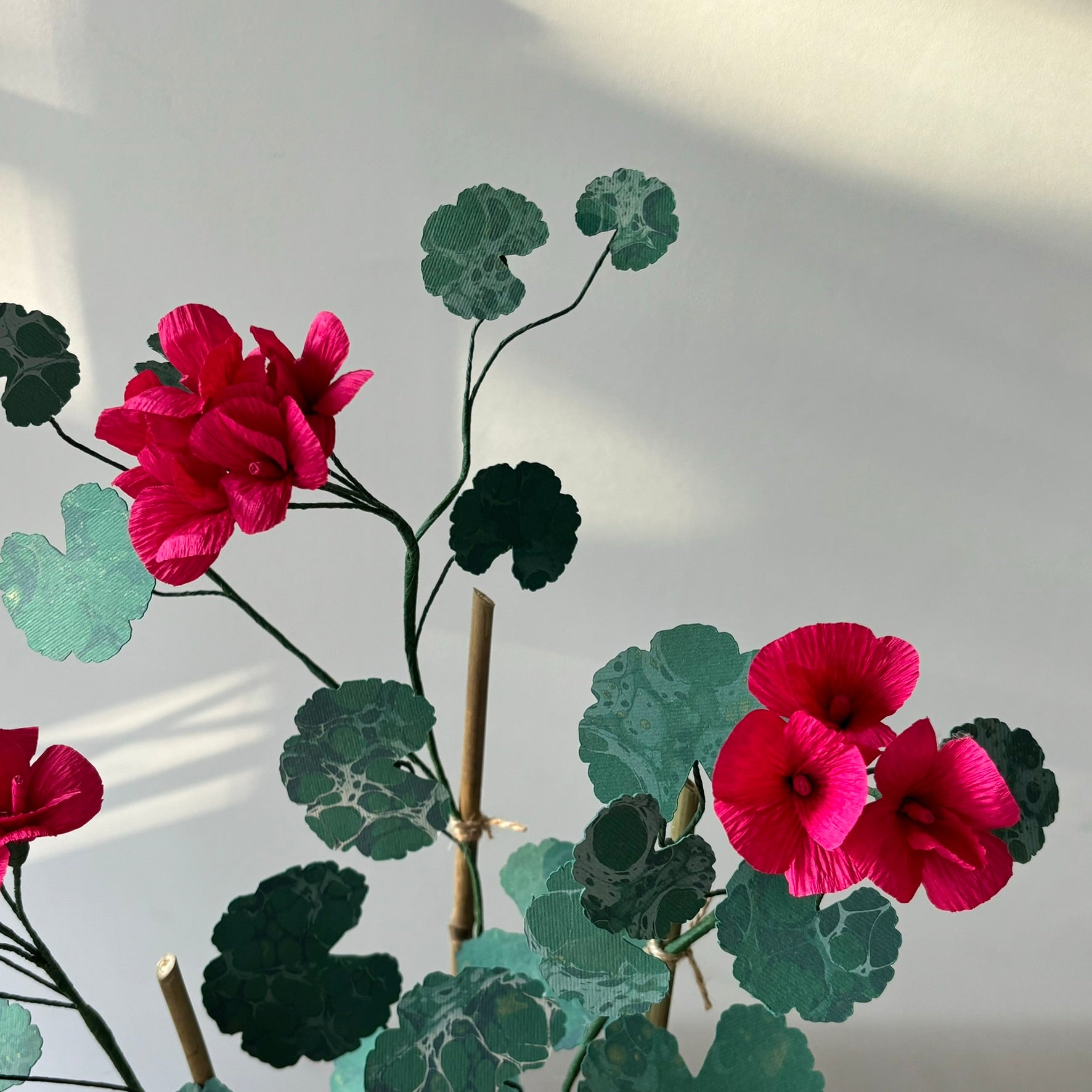 Paper Geranium