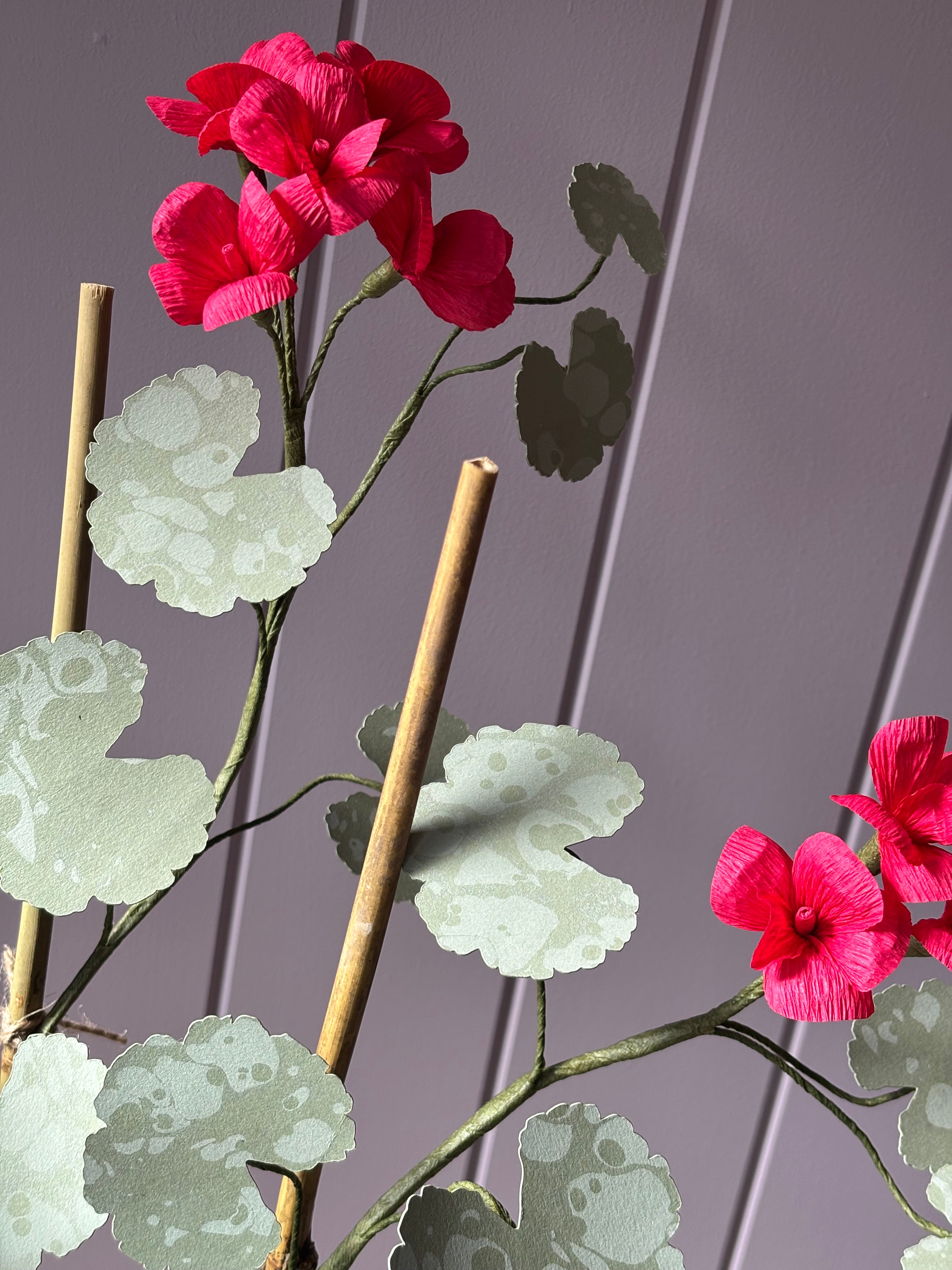 Paper Geranium