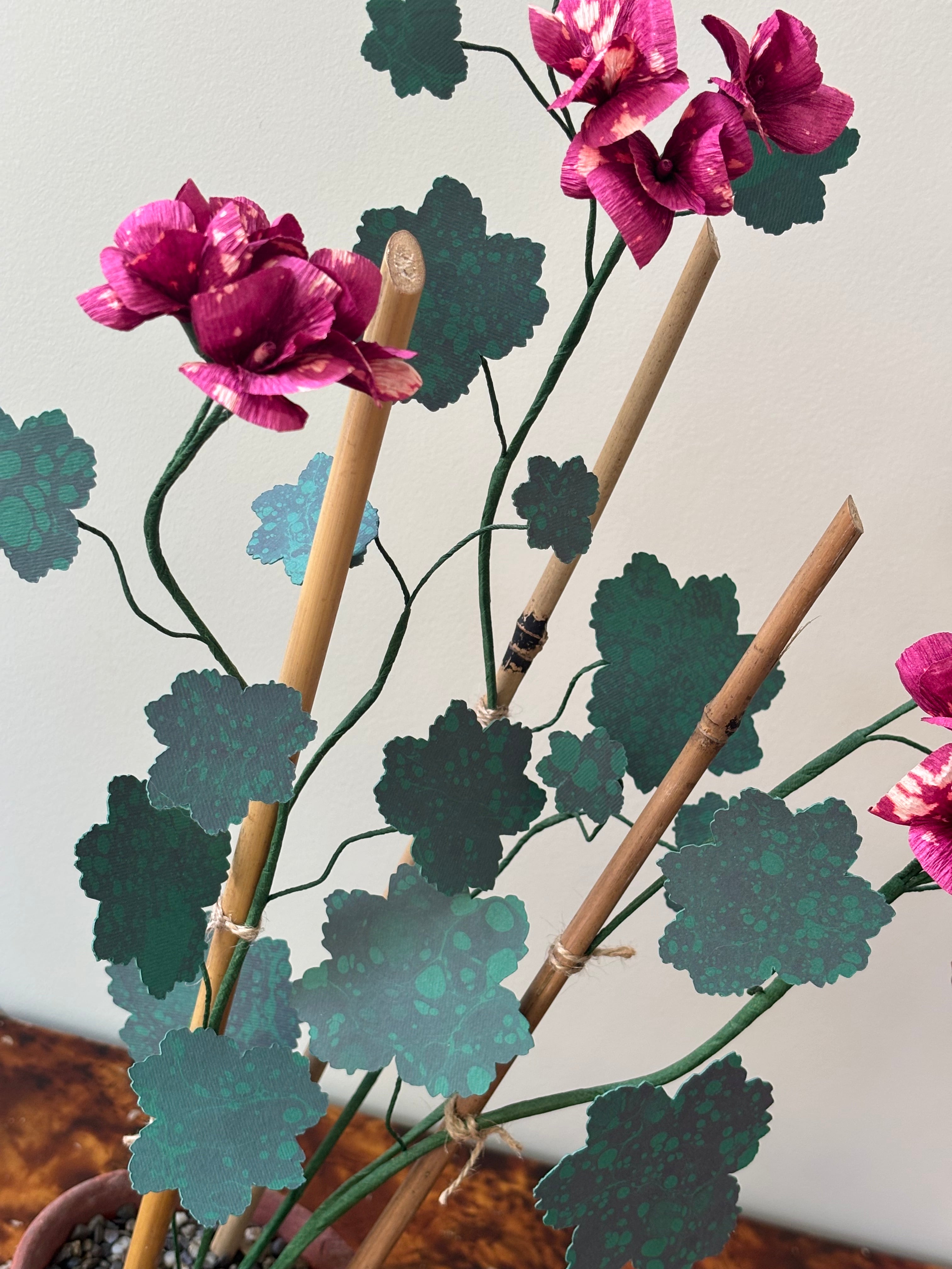 Paper Geranium