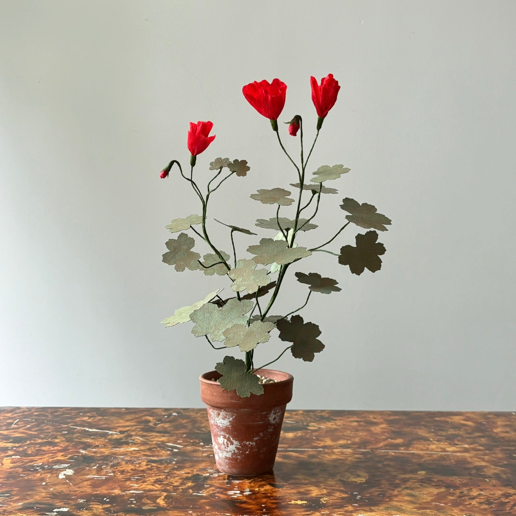 Paper Geranium