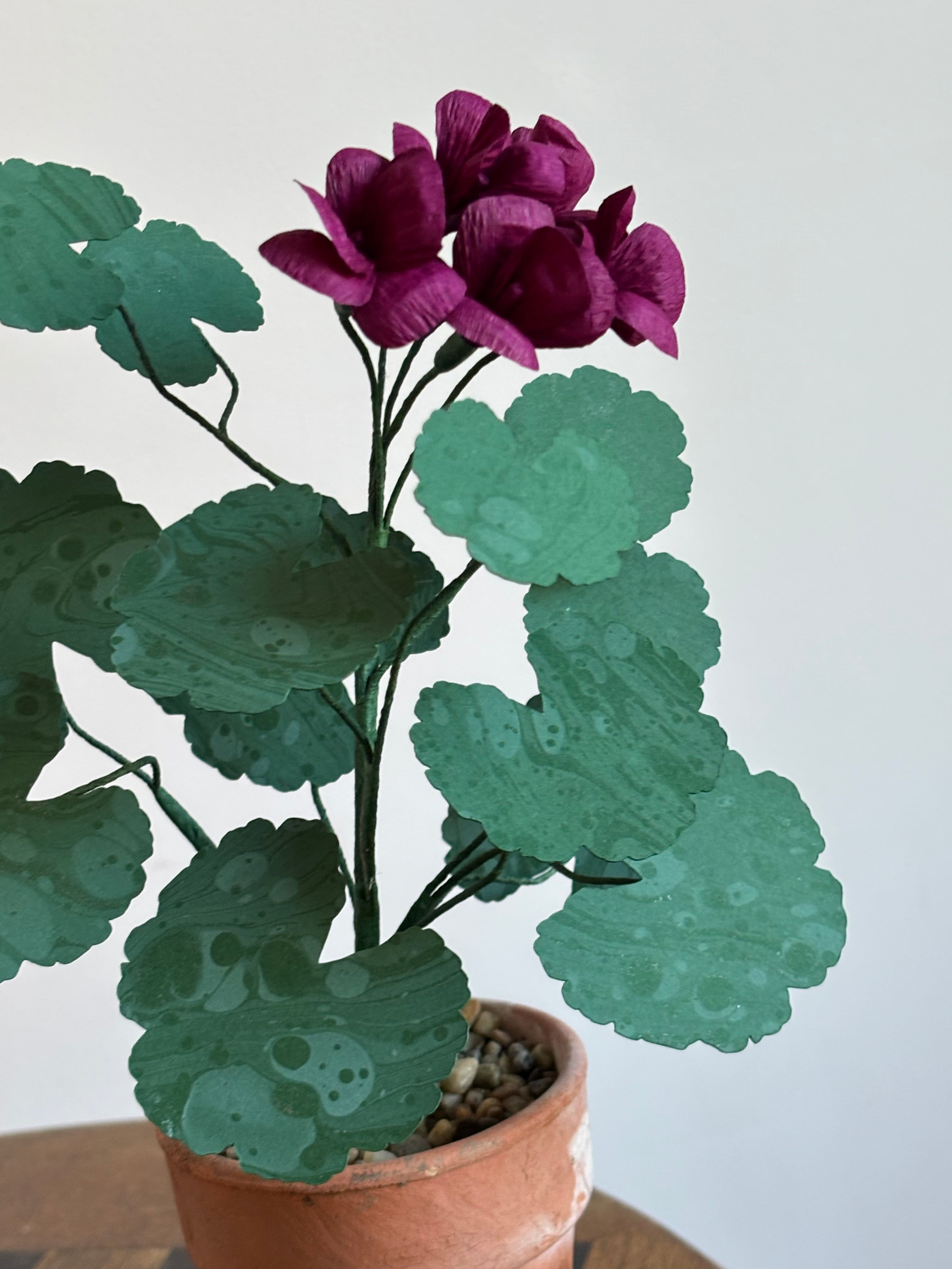 Paper Geranium