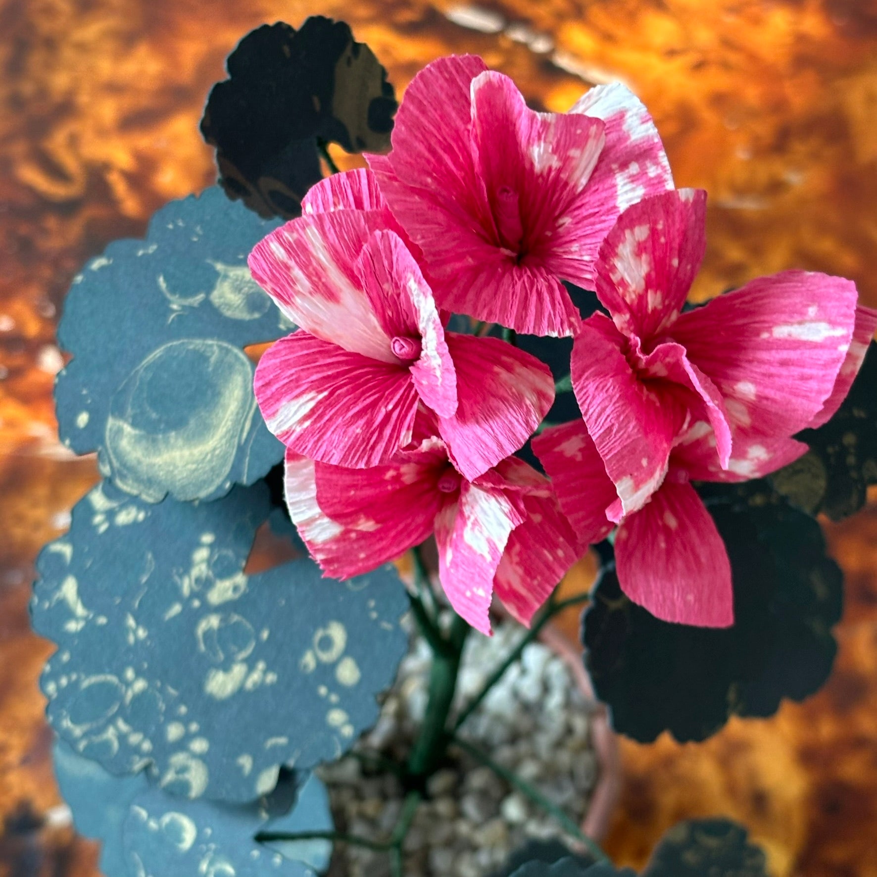Paper Geranium