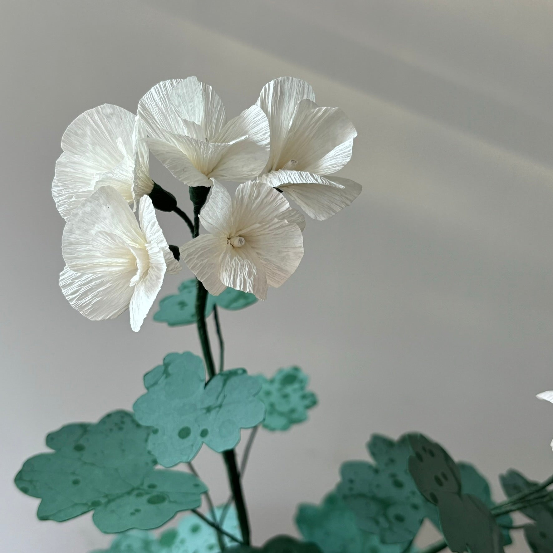 Paper Geranium